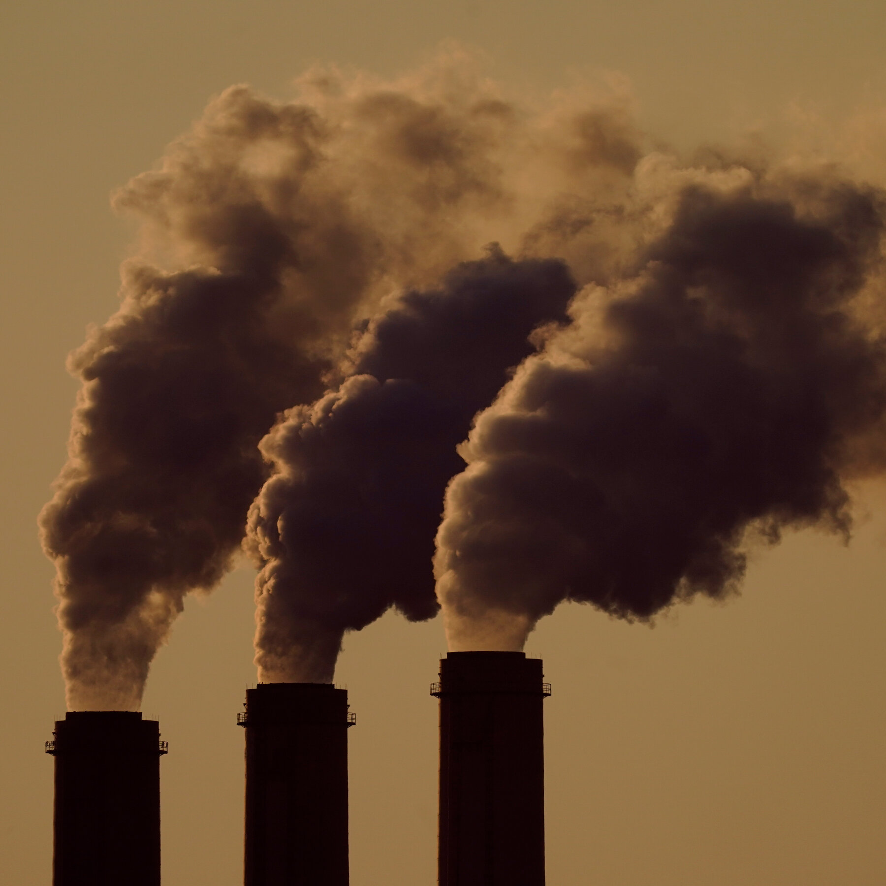 Trump Plans to Pull the U.S. Out of the Paris Agreement on Climate