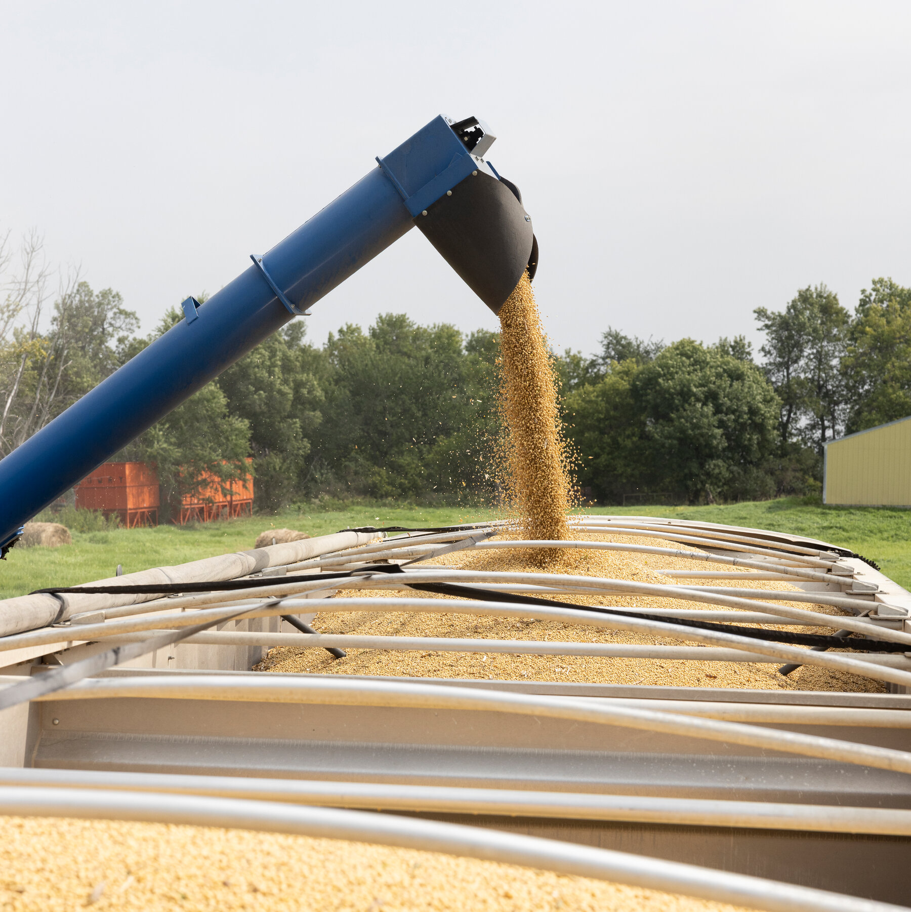 Trump Says He Wants to Give Aid to Struggling Farmers