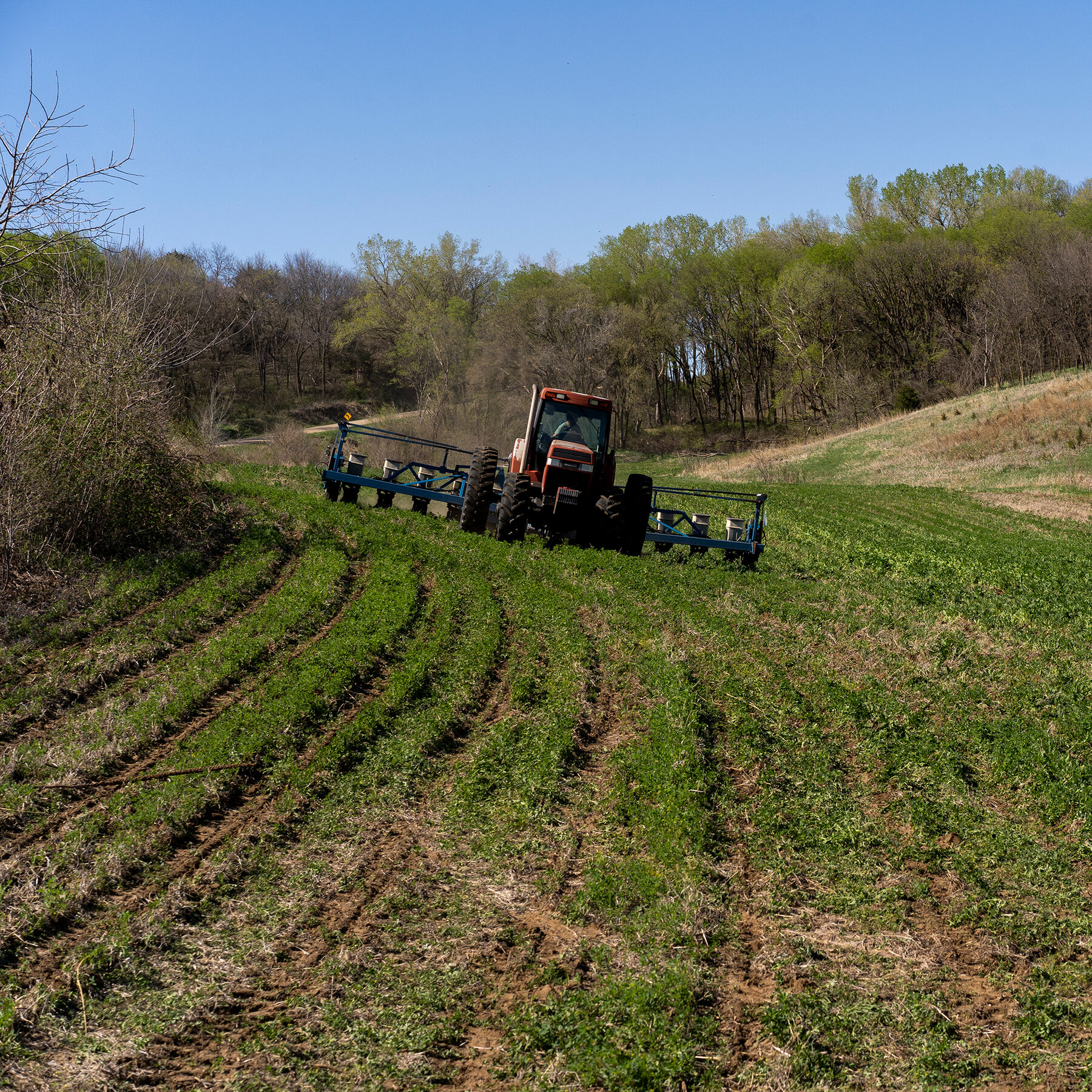 Trump Tariffs on Russia Could Hurt Wary U.S. Farmers