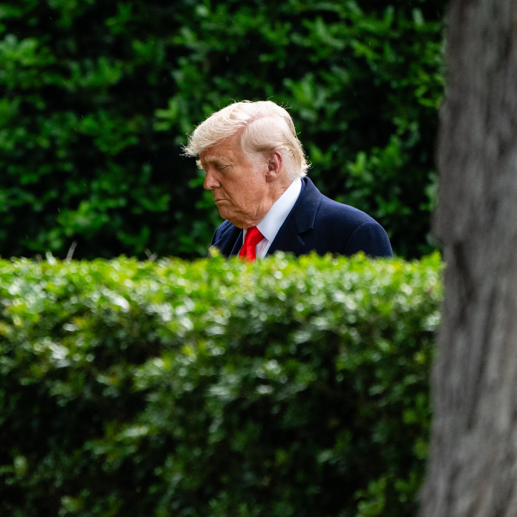 Trump Threatens California’s Federal Funding Over Transgender Athletes