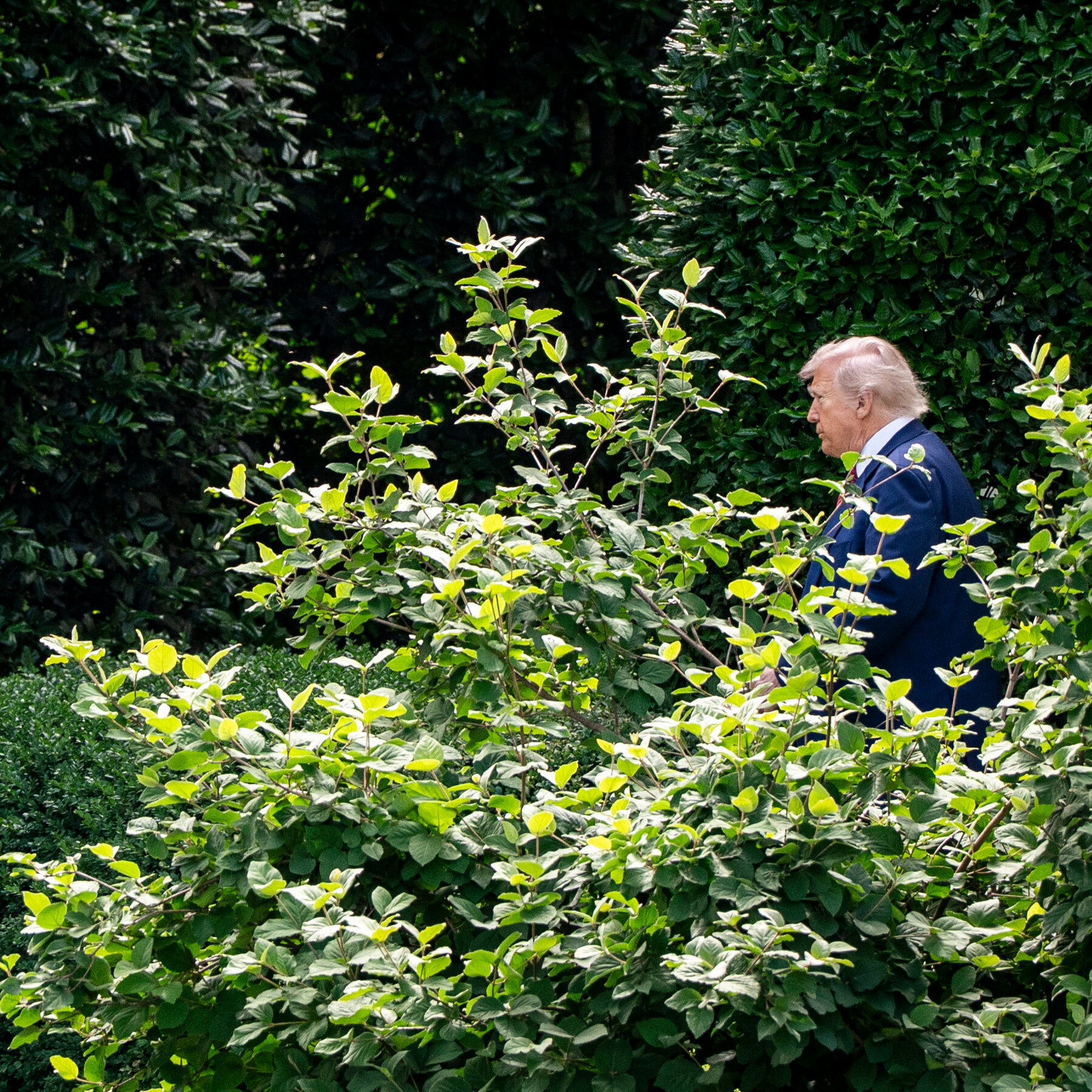 Trump Uses Presidential Pardons as His Latest Show of Strength