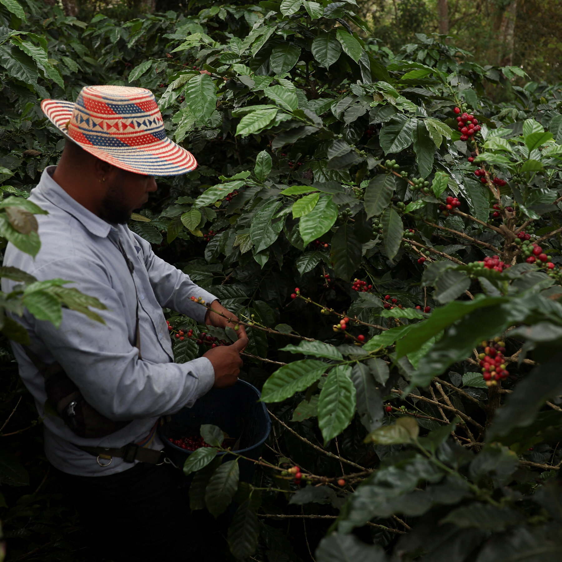 Trump Wants to Impose 25% Tariffs on Colombia. Here’s What Could Cost More.