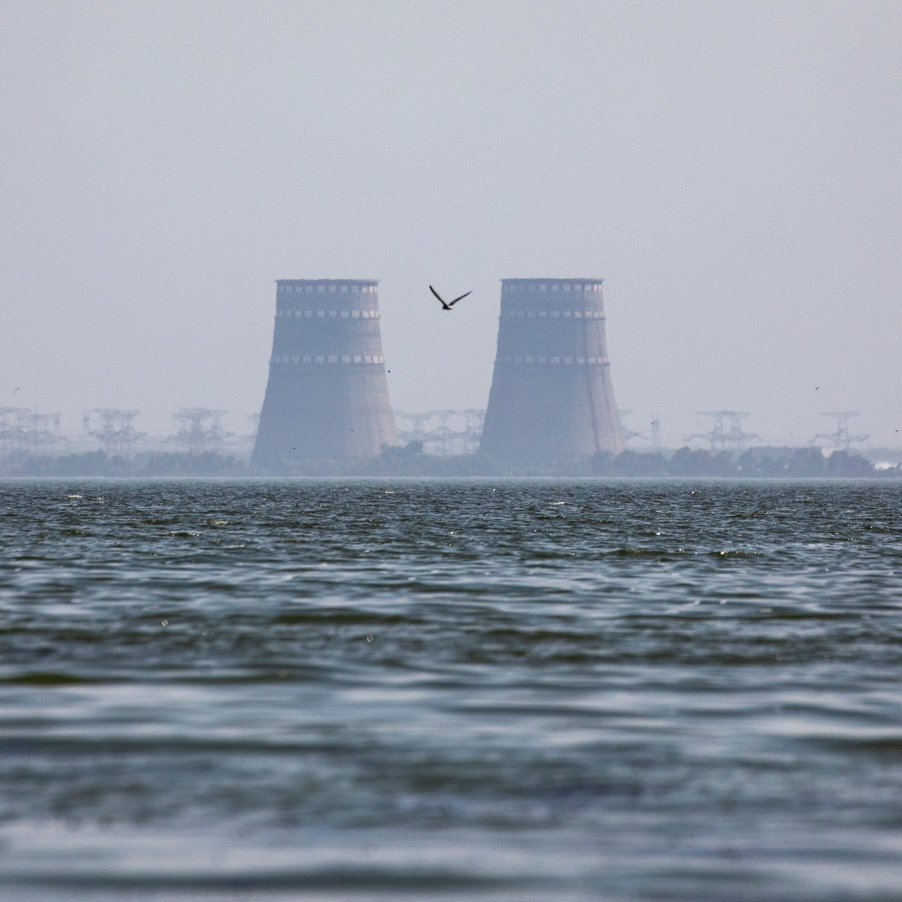 Trump Wants to Take Over Ukraine’s Nuclear Plants. What Would That Mean?