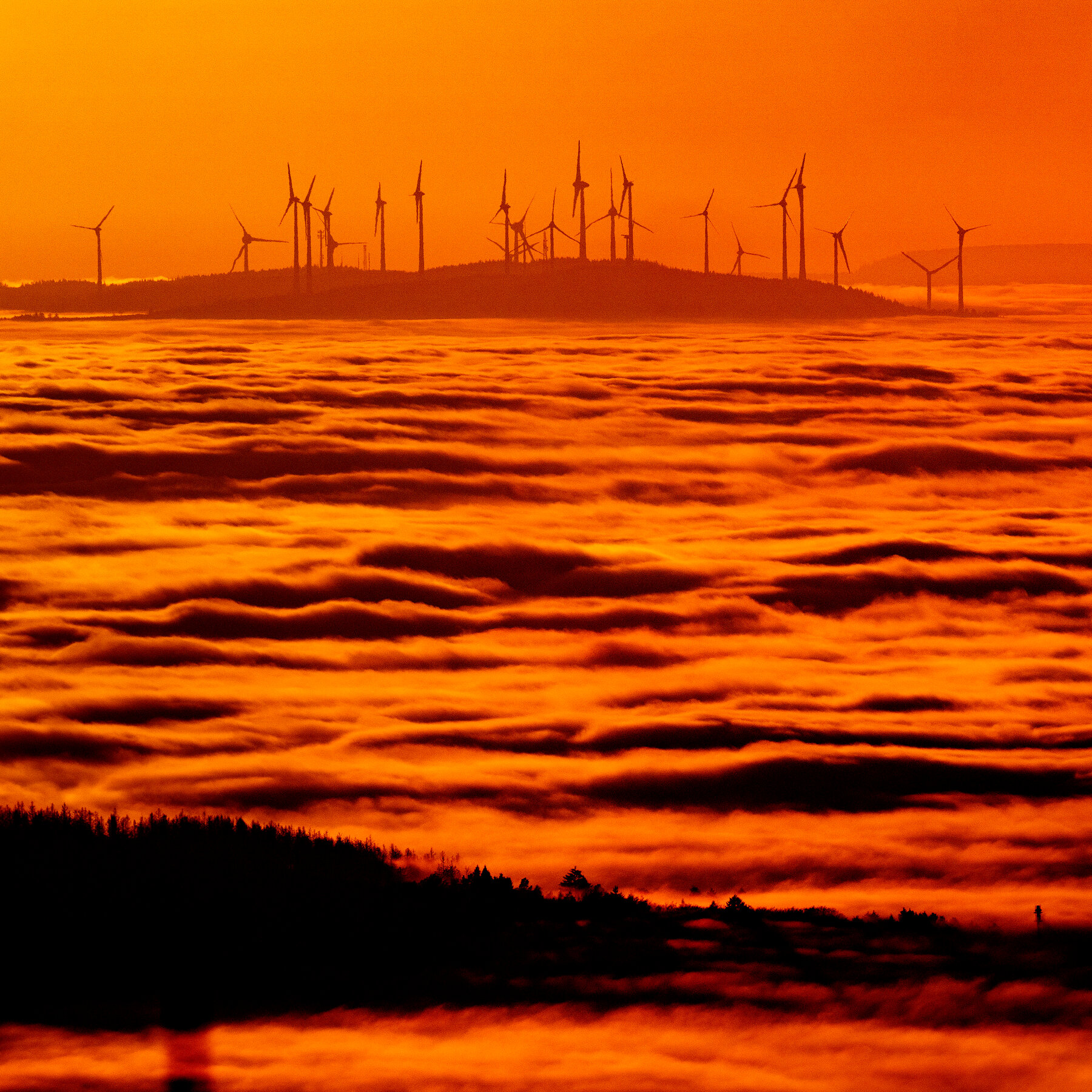 Trump’s Campaign to Reverse Global Climate Progress