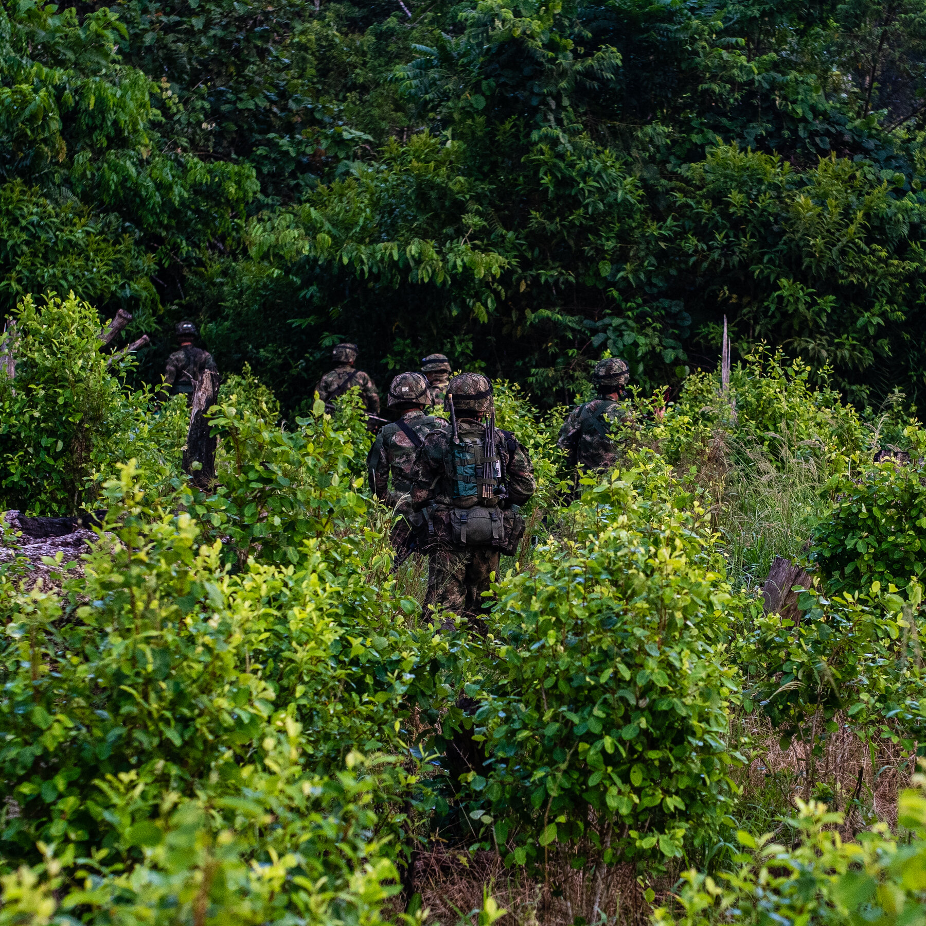 Trump’s Feud With Colombian Leader Threatens U.S. Antidrug Efforts