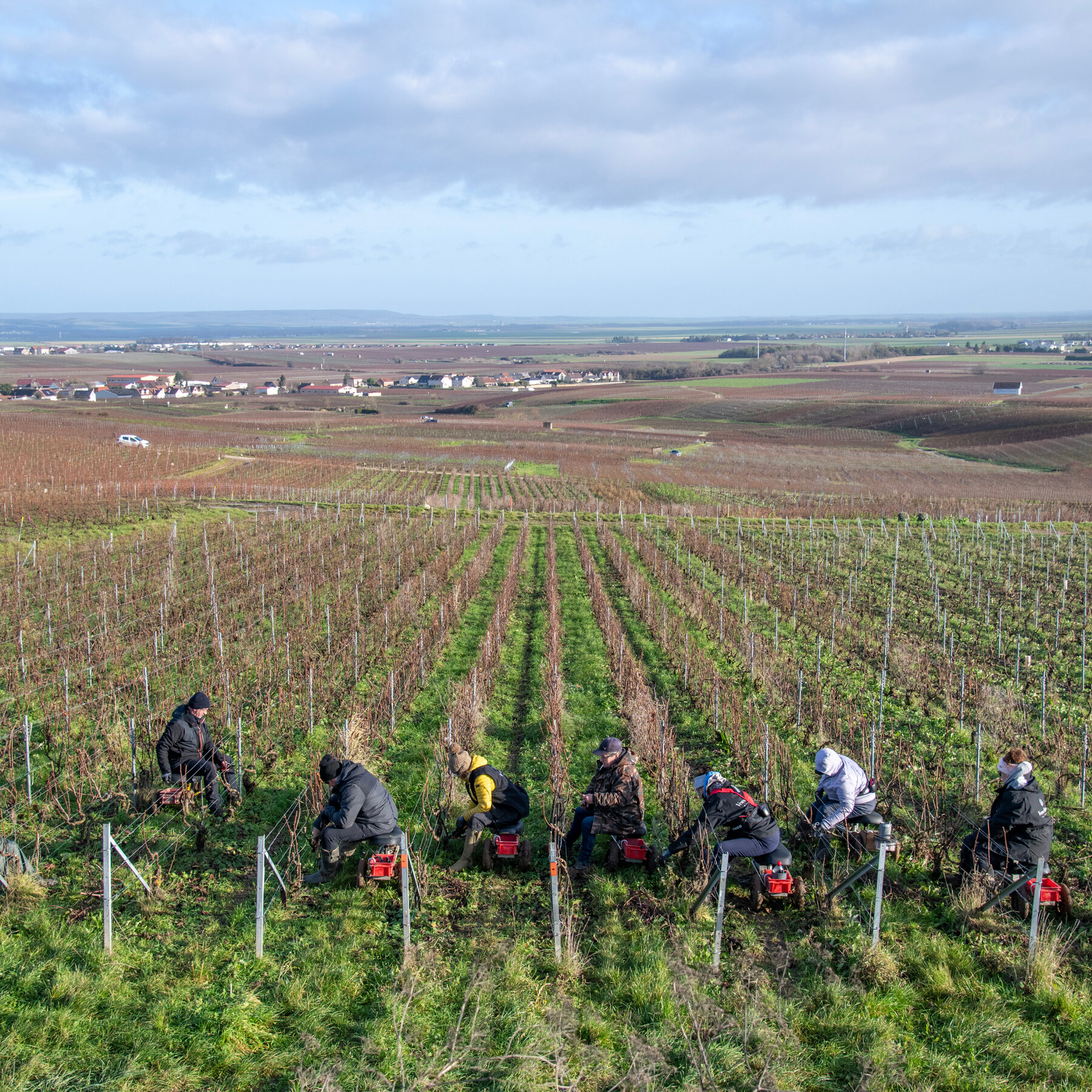 Trump’s Tariff Threat Sends French Wine and Champagne Makers Reeling
