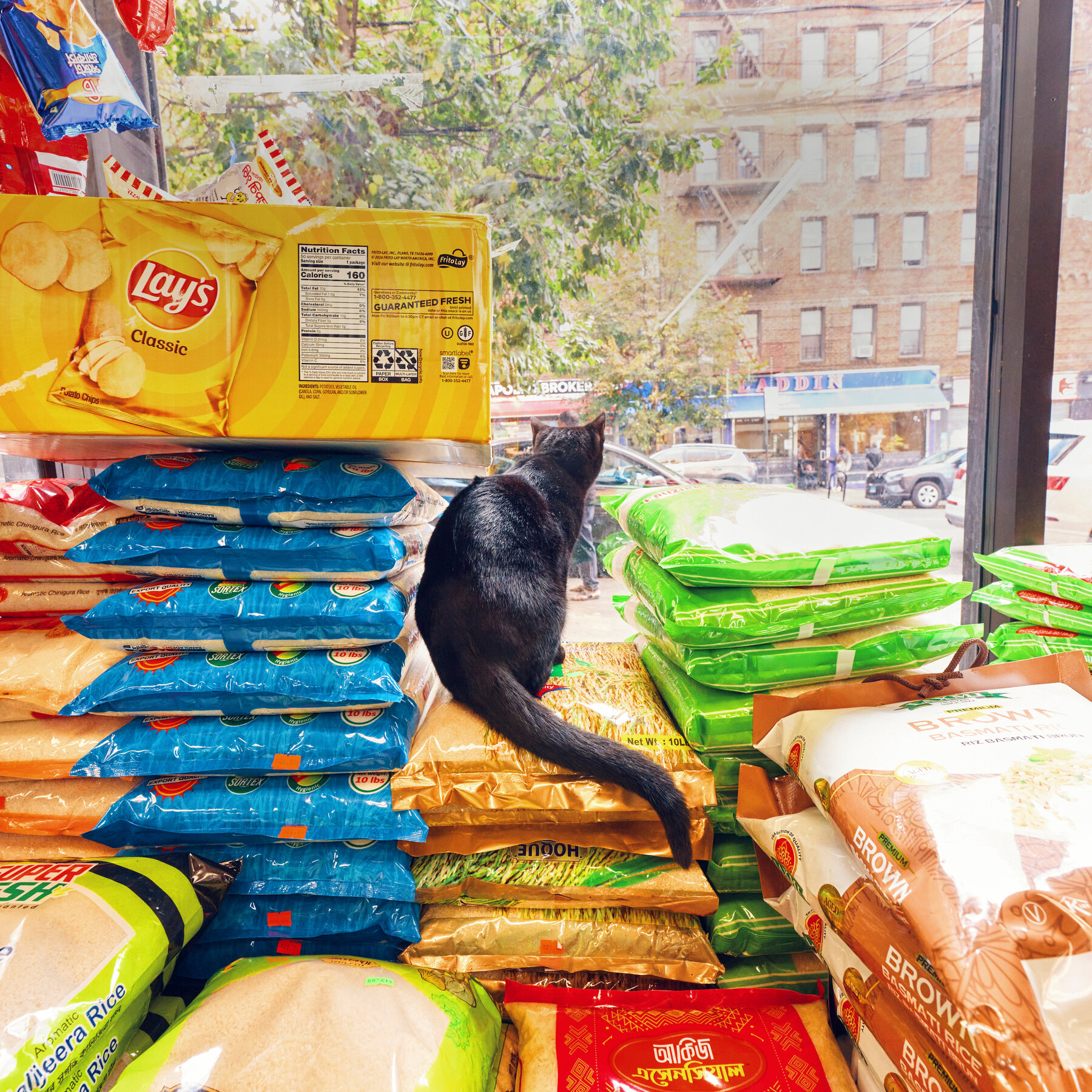 Trump’s Tariffs Hit Specialty Grocery Stores for Some Immigrant Communities Especially Hard