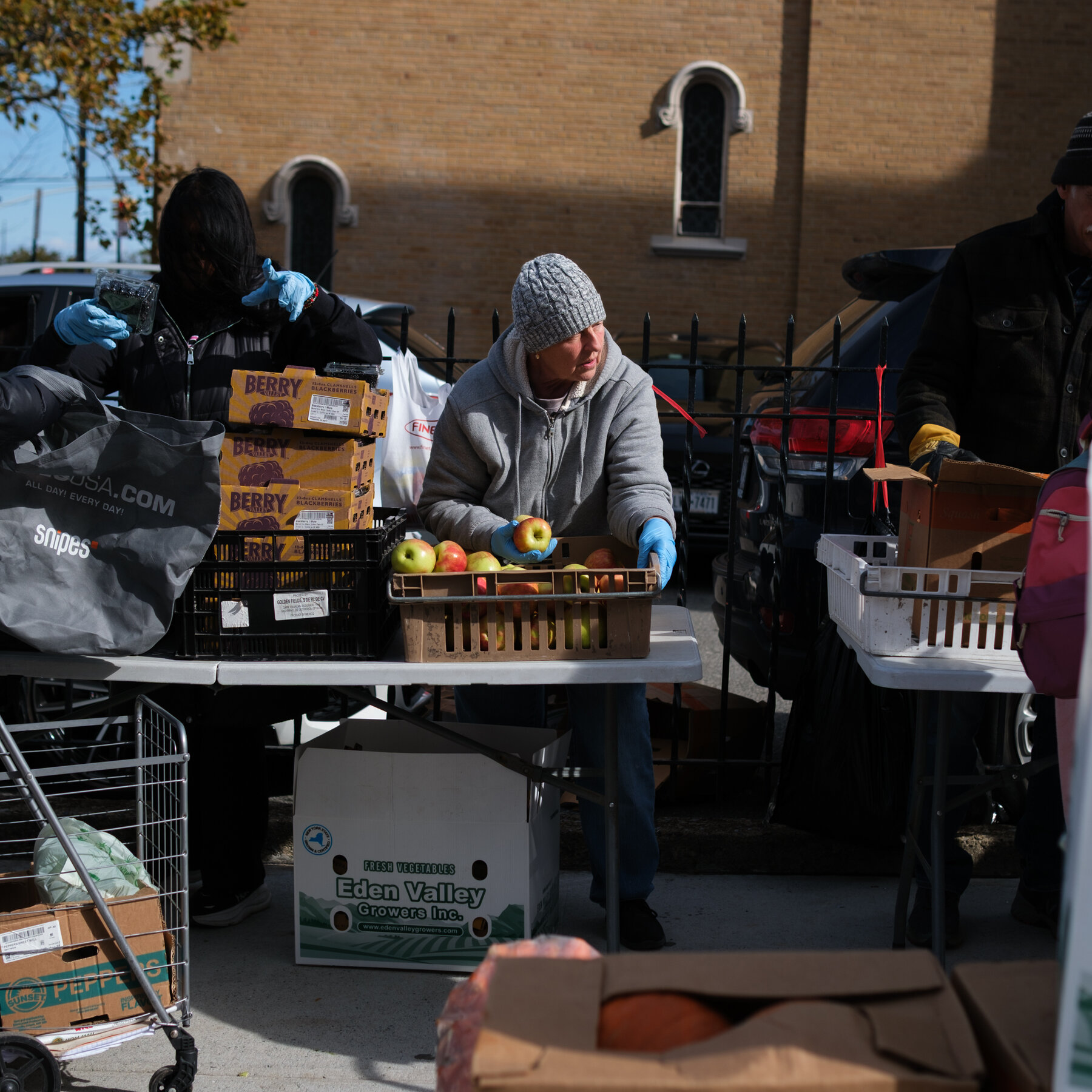 Turmoil Over Food Stamps Is Defining Issue for Some New York Voters