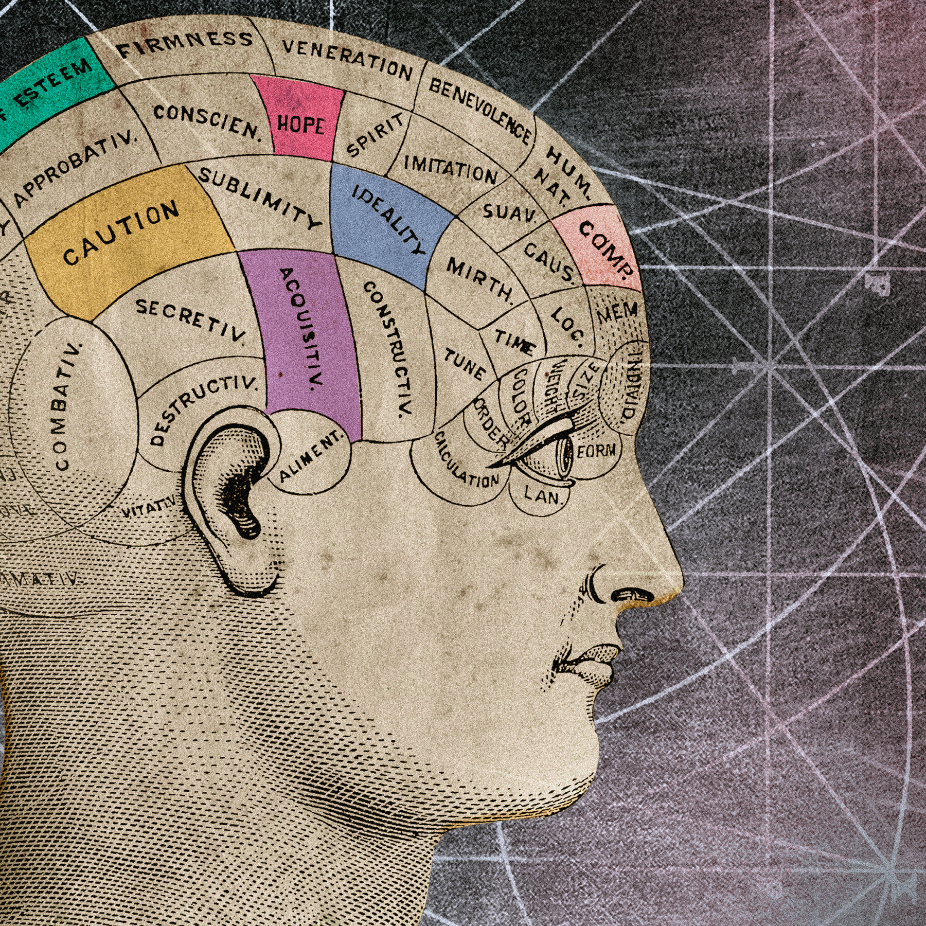 Two Theories of Consciousness Faced Off. The Ref Took a Beating.