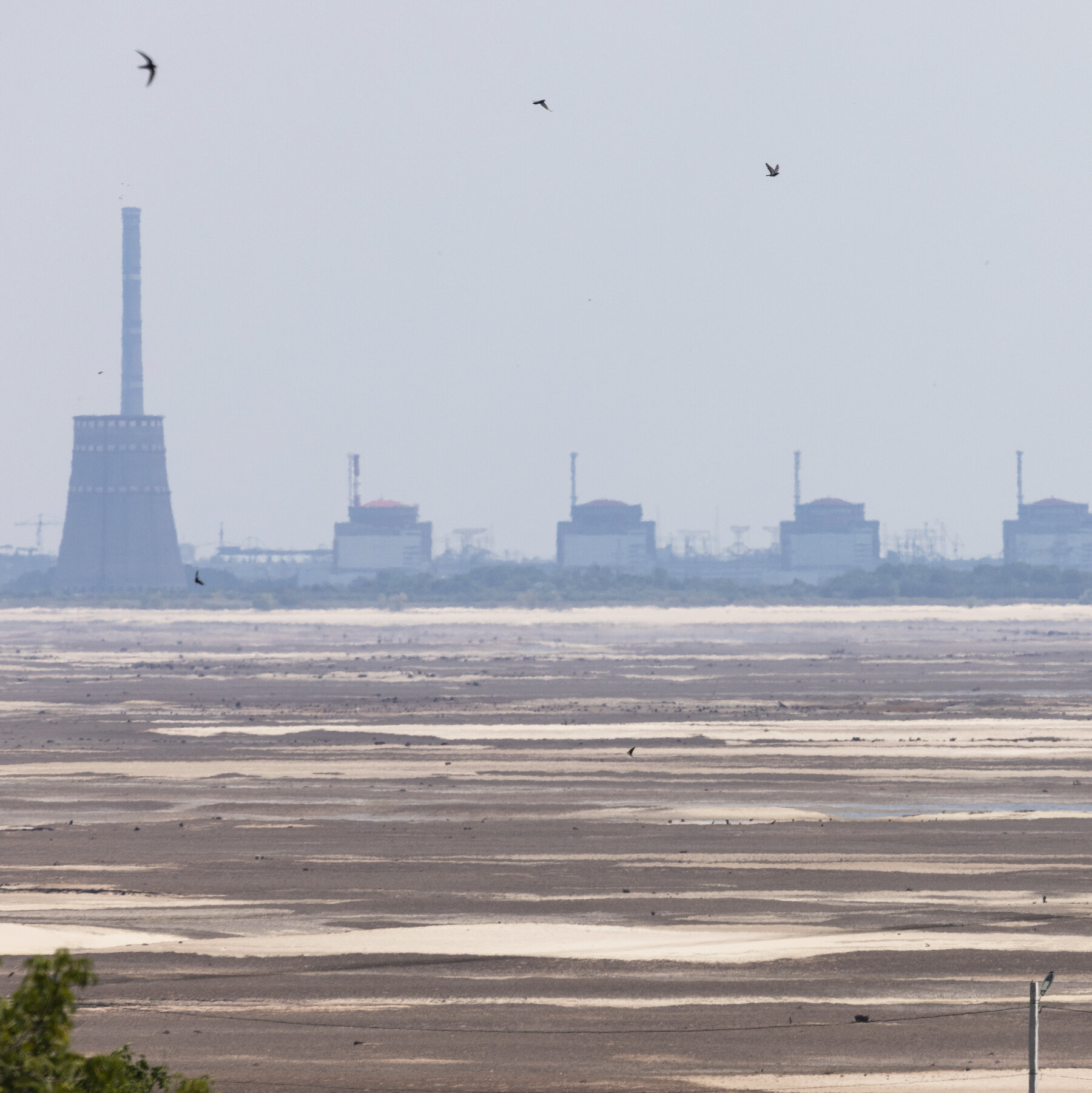 Ukraine and Russia Blame Each Other for Power Cut at Zaporizhzhia Nuclear Plant