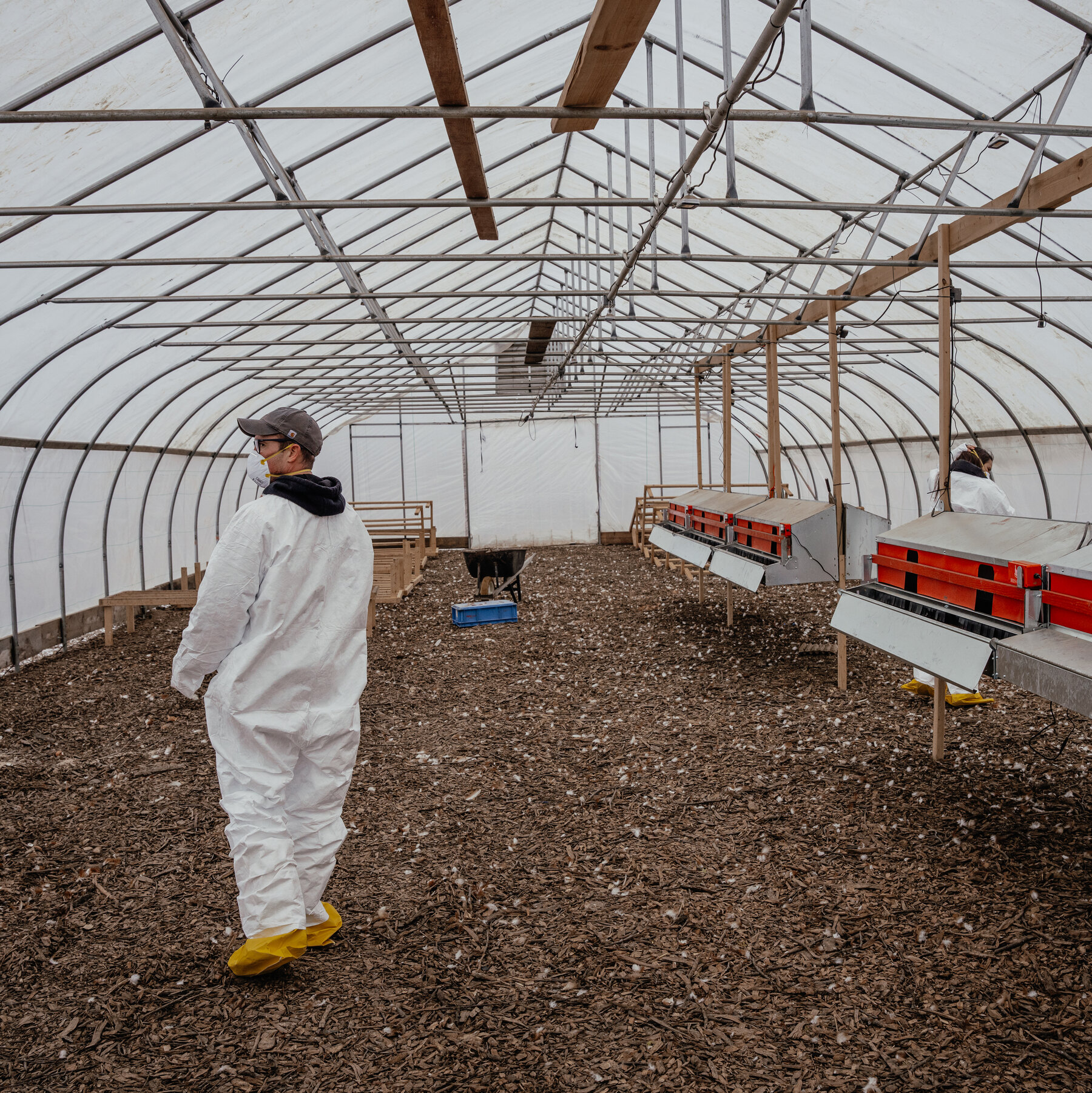 U.S. Cancels Contract With Moderna to Develop Bird Flu Vaccine