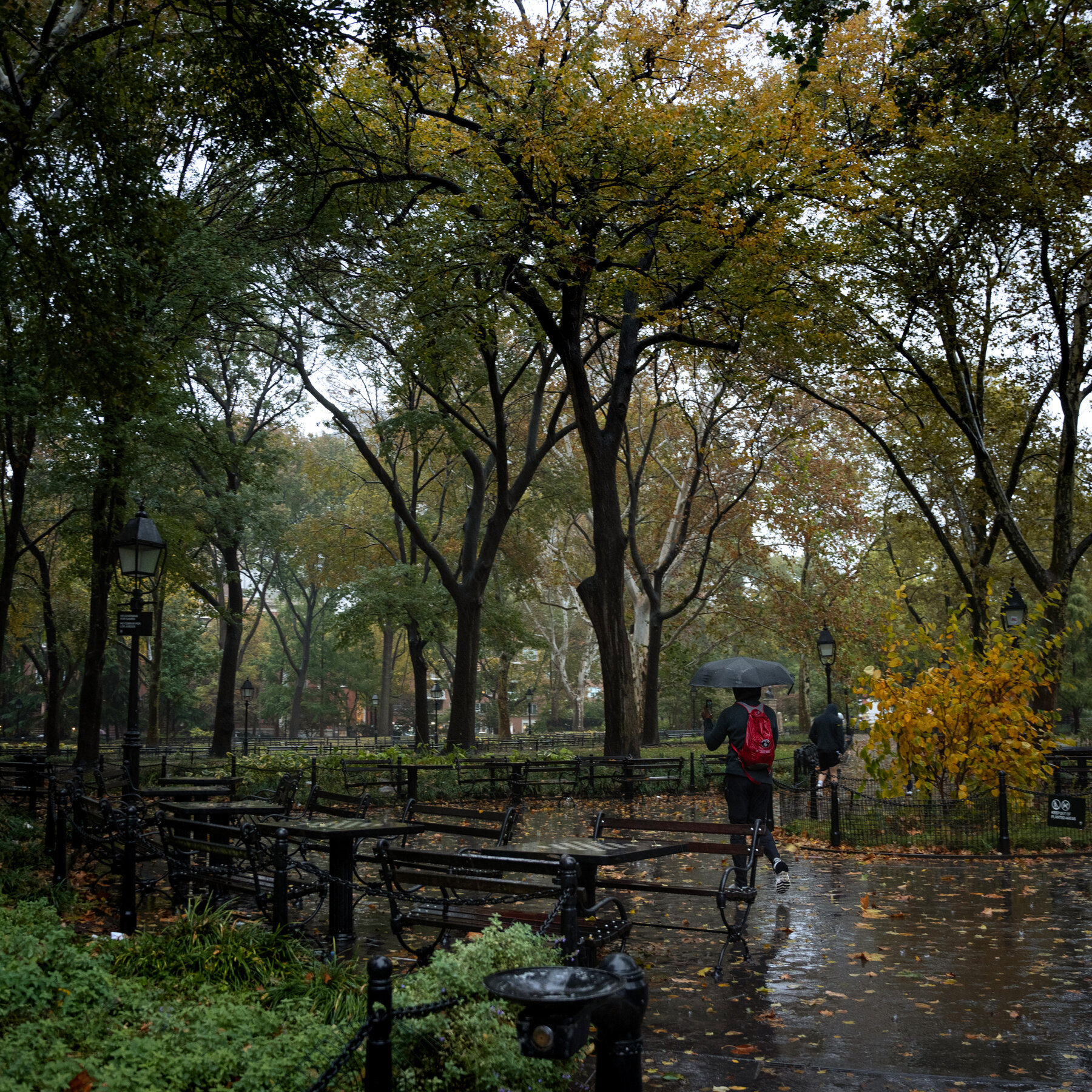 U.S. Charges 19 With Flooding Washington Square Park With Drugs