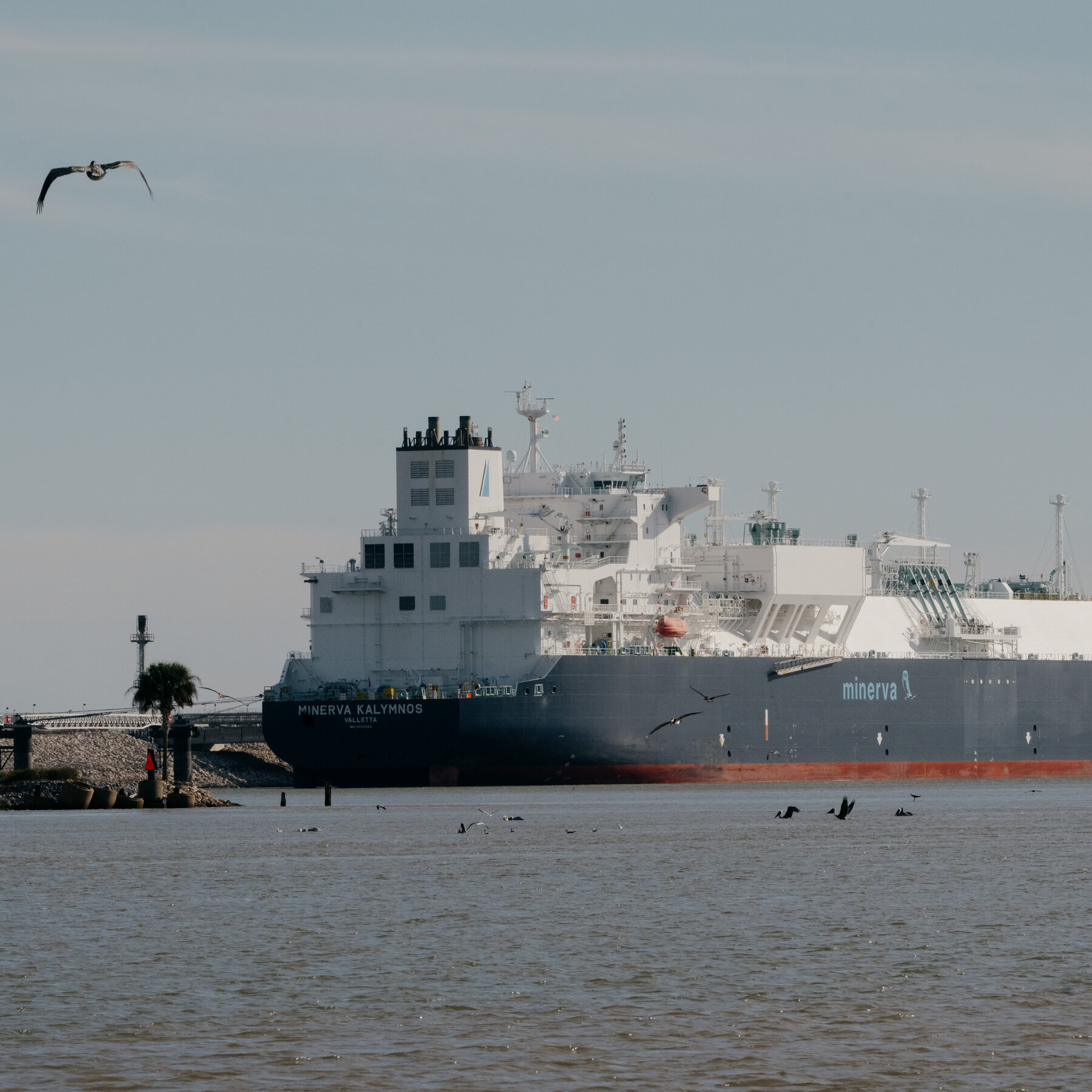 U.S. Gas Industry Pushes Back on Trump Shipbuilding Rules