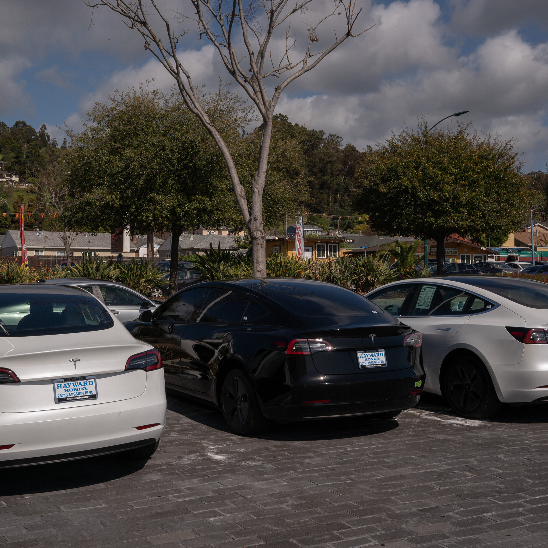 Used Tesla Market Heats Up as Owners Sell to Protest Elon Musk