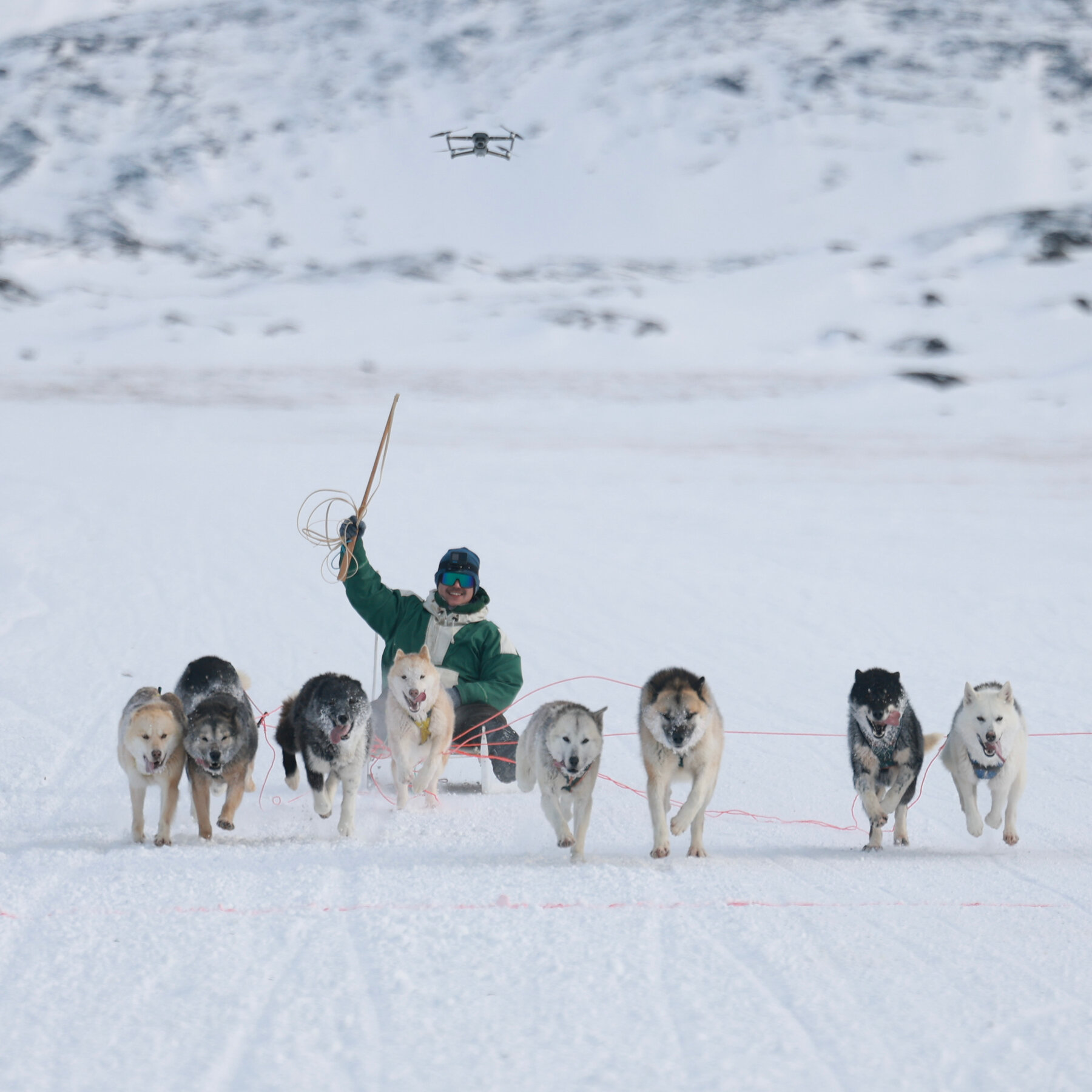 Usha Vance to Attend Greenland’s Main Dog Sledding Race