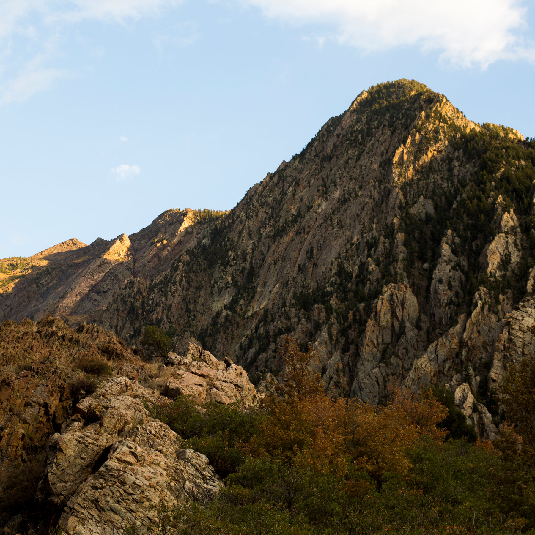 Utah Hiker Rescued With His Children Faces Abuse and Torture Charges