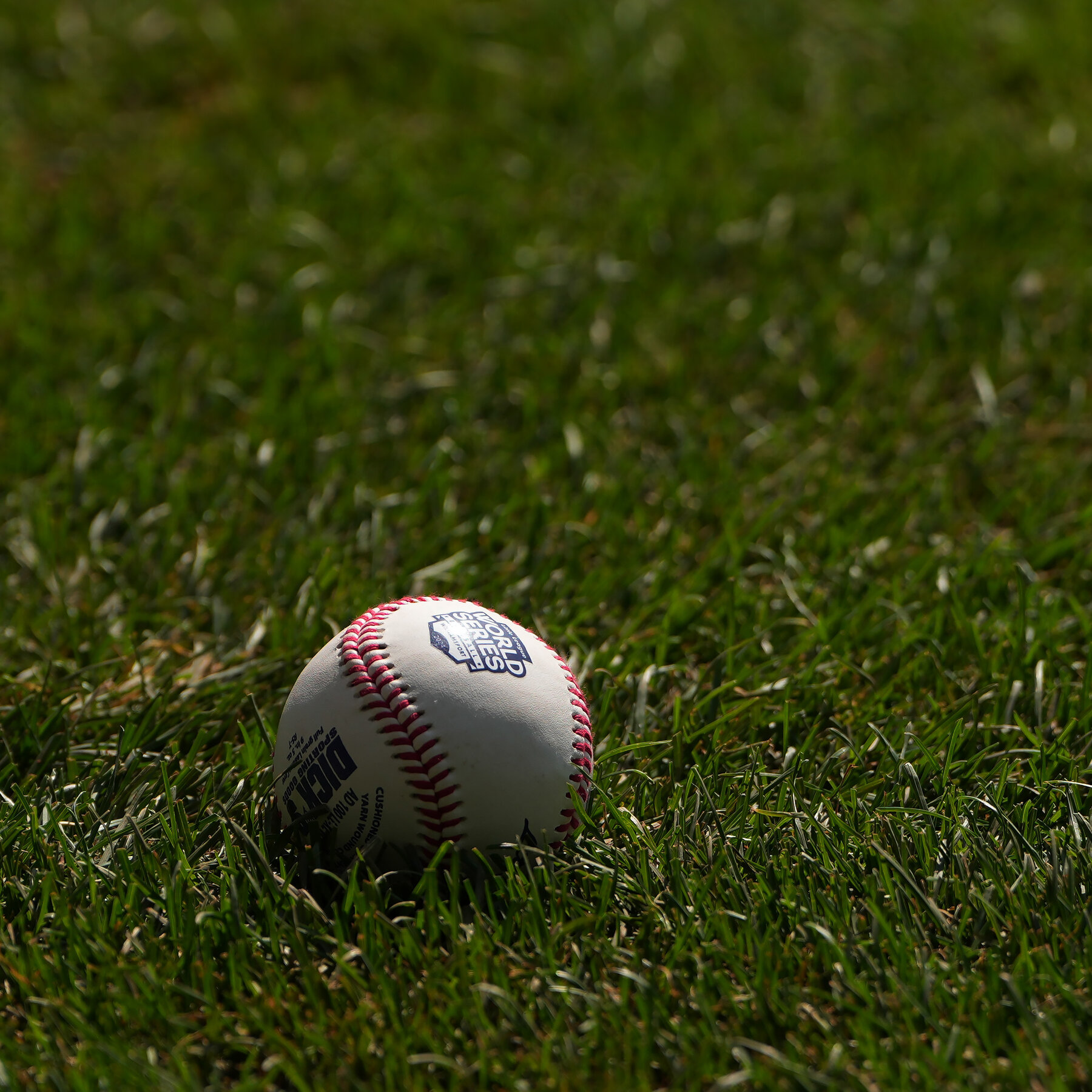 Venezuelan Youth Baseball Team, Denied Visas, Is Left Out of Tournament in U.S.