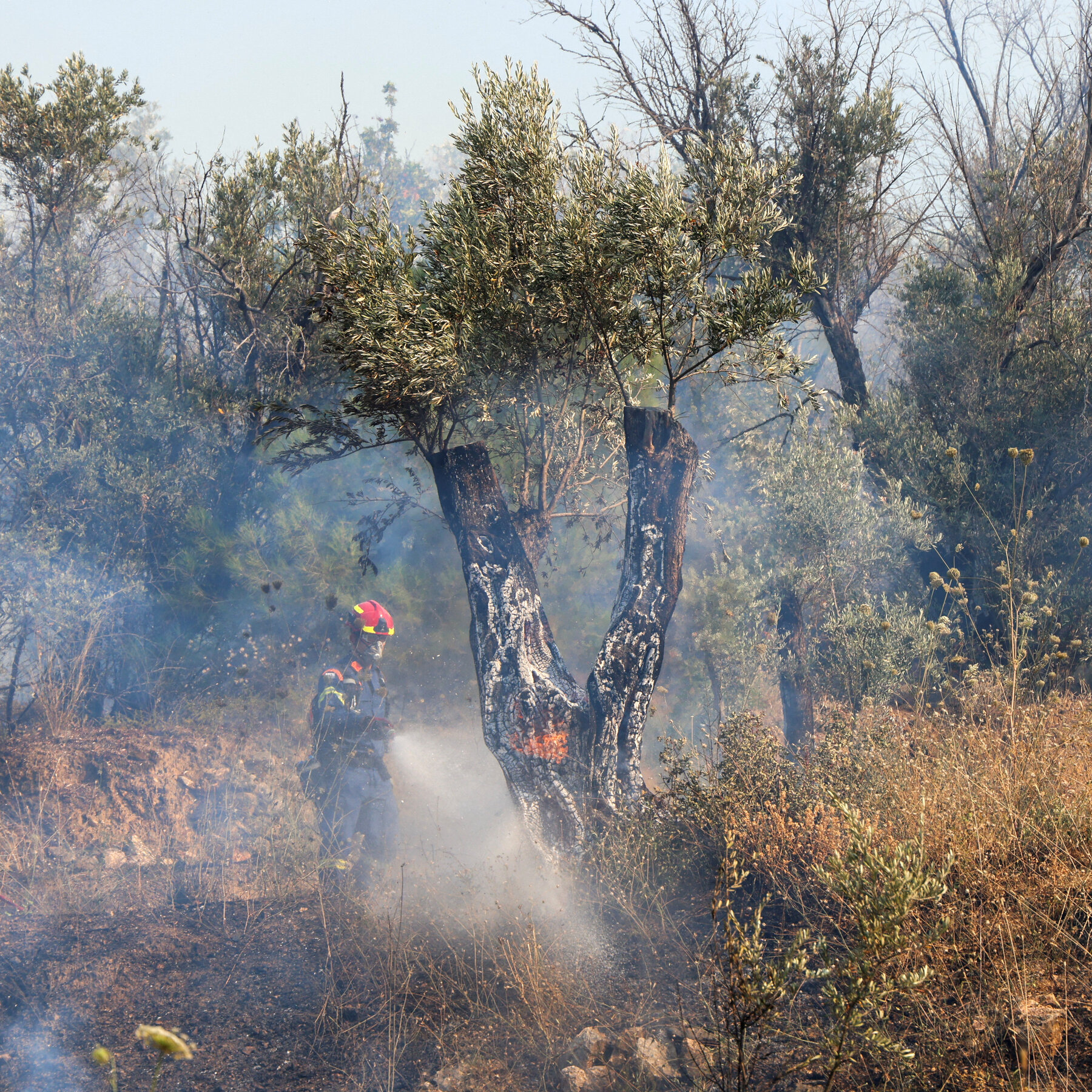Villages Evacuated on Greek Island as Wildfires Rage