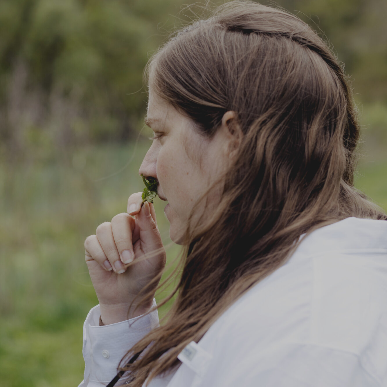 Virginia Farmers Are Reviving a Tradition of Harvesting Herbs
