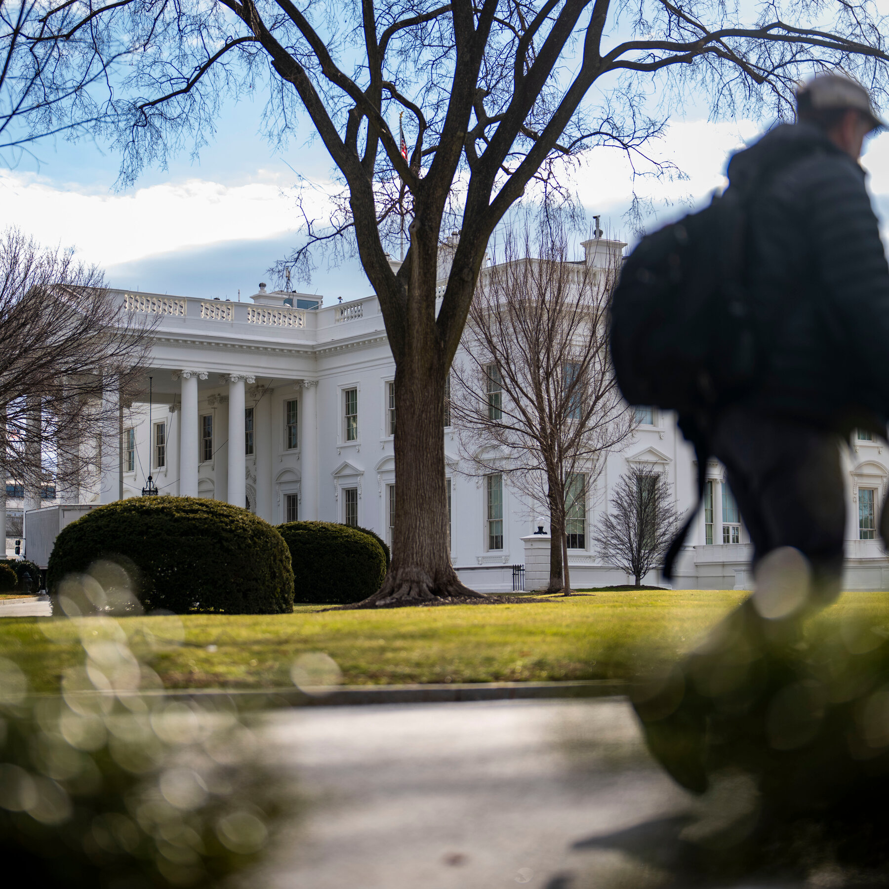 Wednesday Briefing