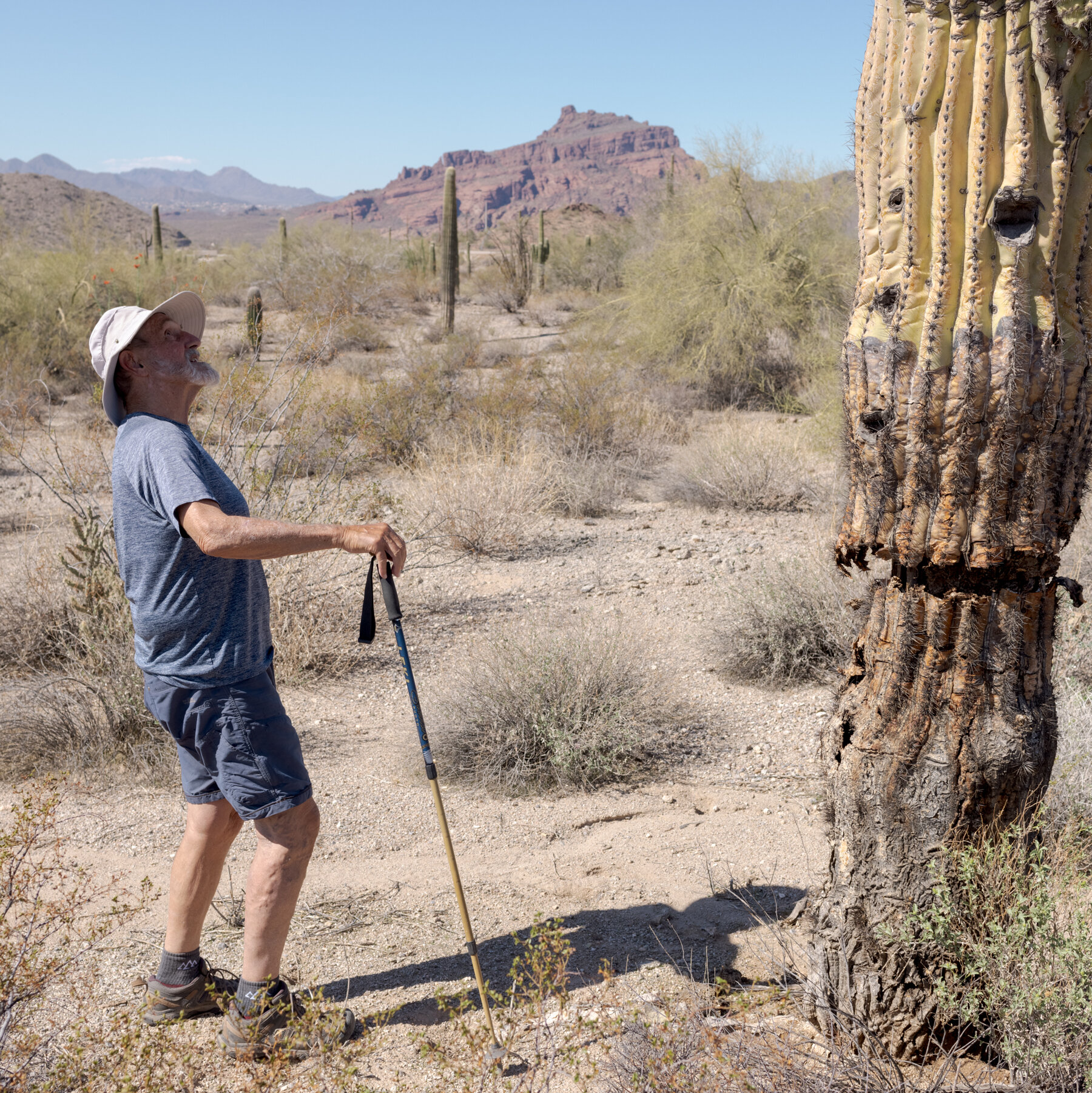 Weed Manager of the Year: One Man’s Quest to Save the Sonoran Desert