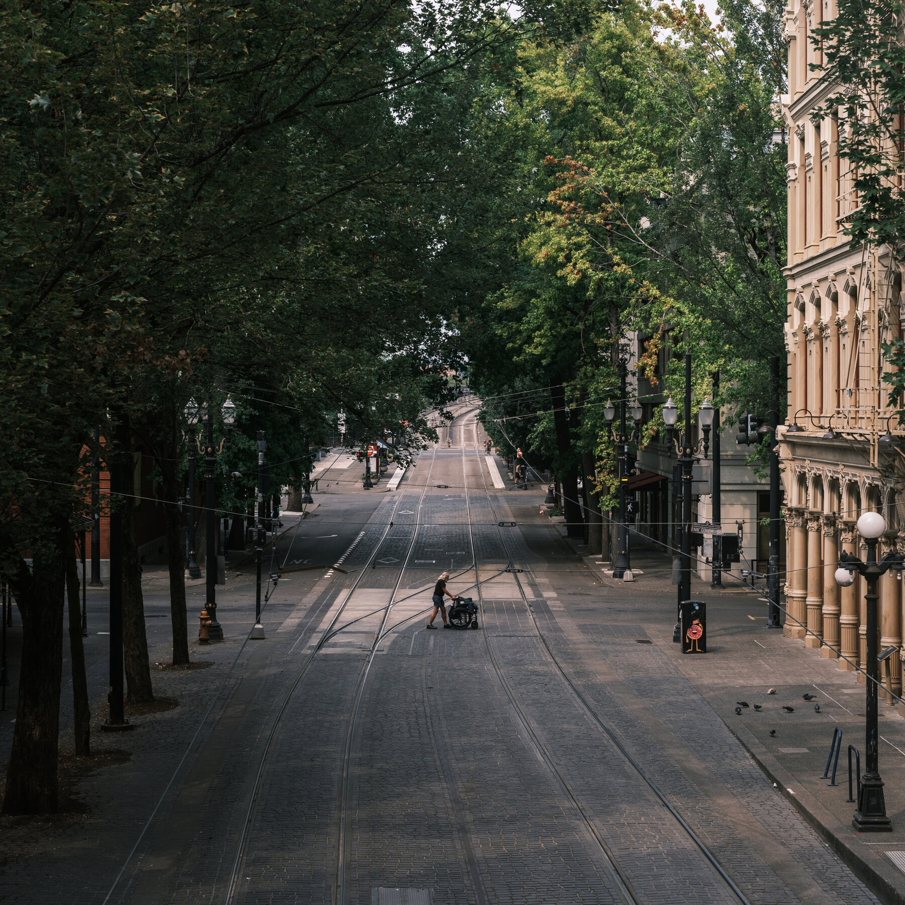 What Happens When Socialists Are in Charge? Portland Offers a Glimpse.