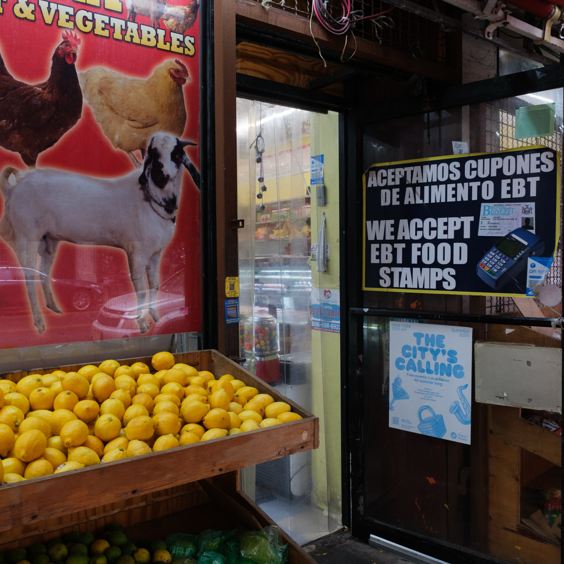 What Is Happening With SNAP Benefits During the Shutdown?