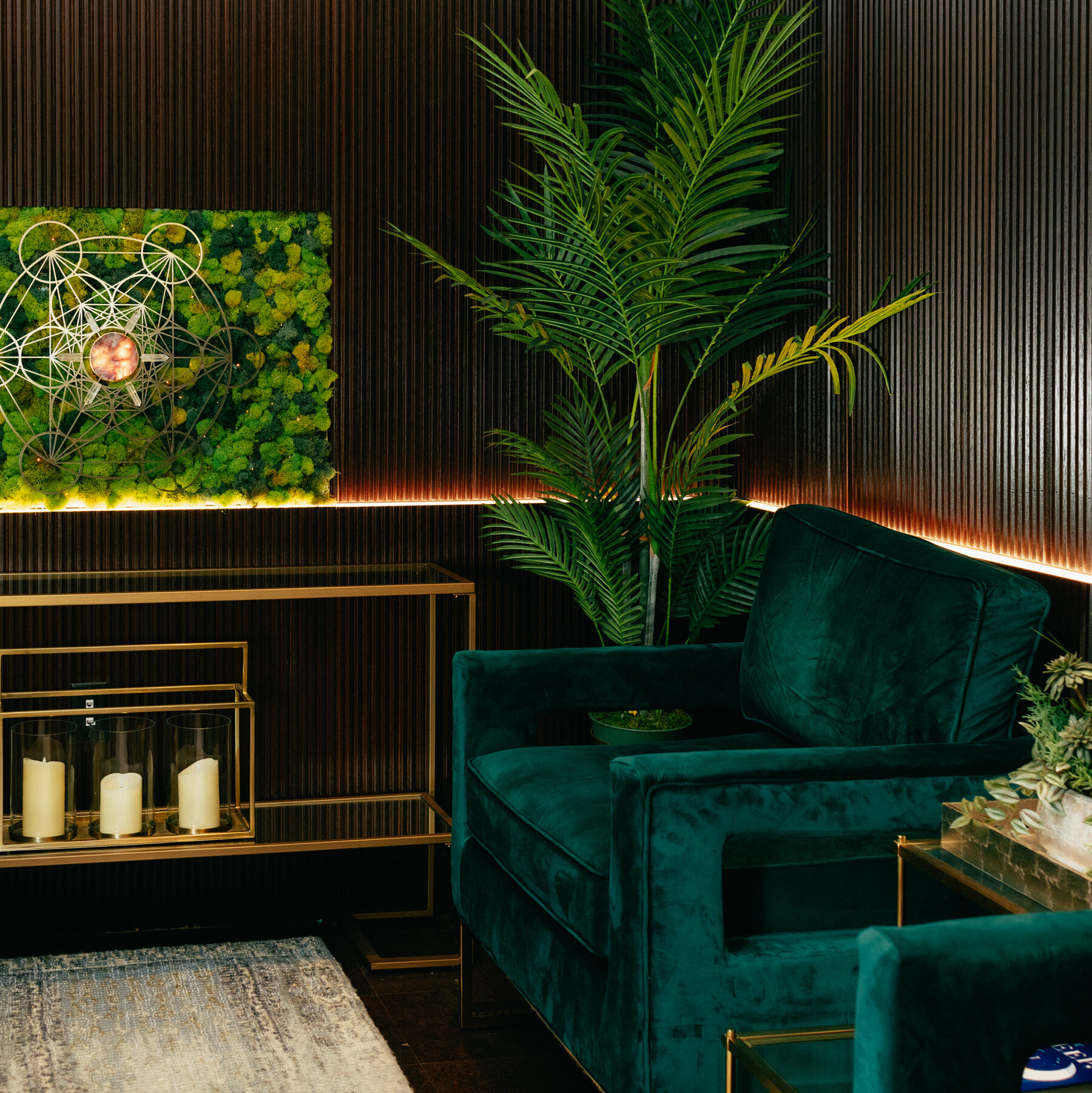 What Luxury Longevity Clinics Really Offer
