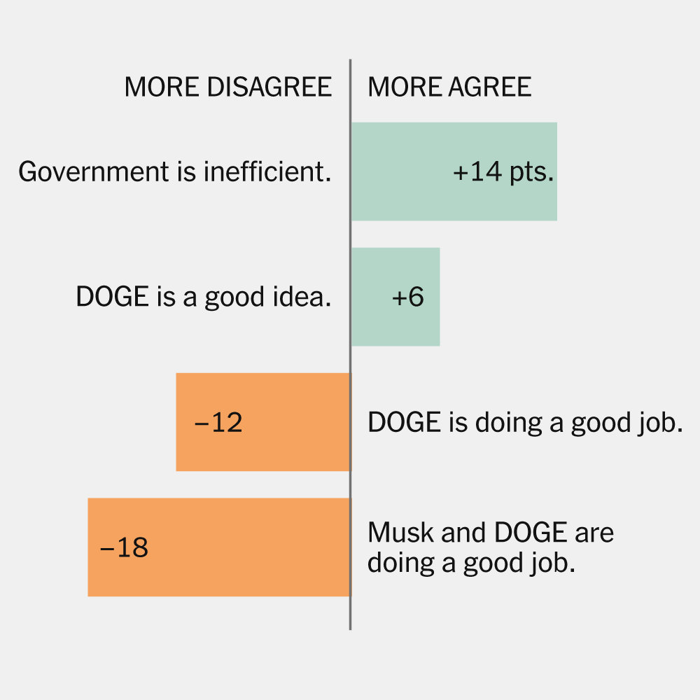 What Polls Say About DOGE and Elon Musk
