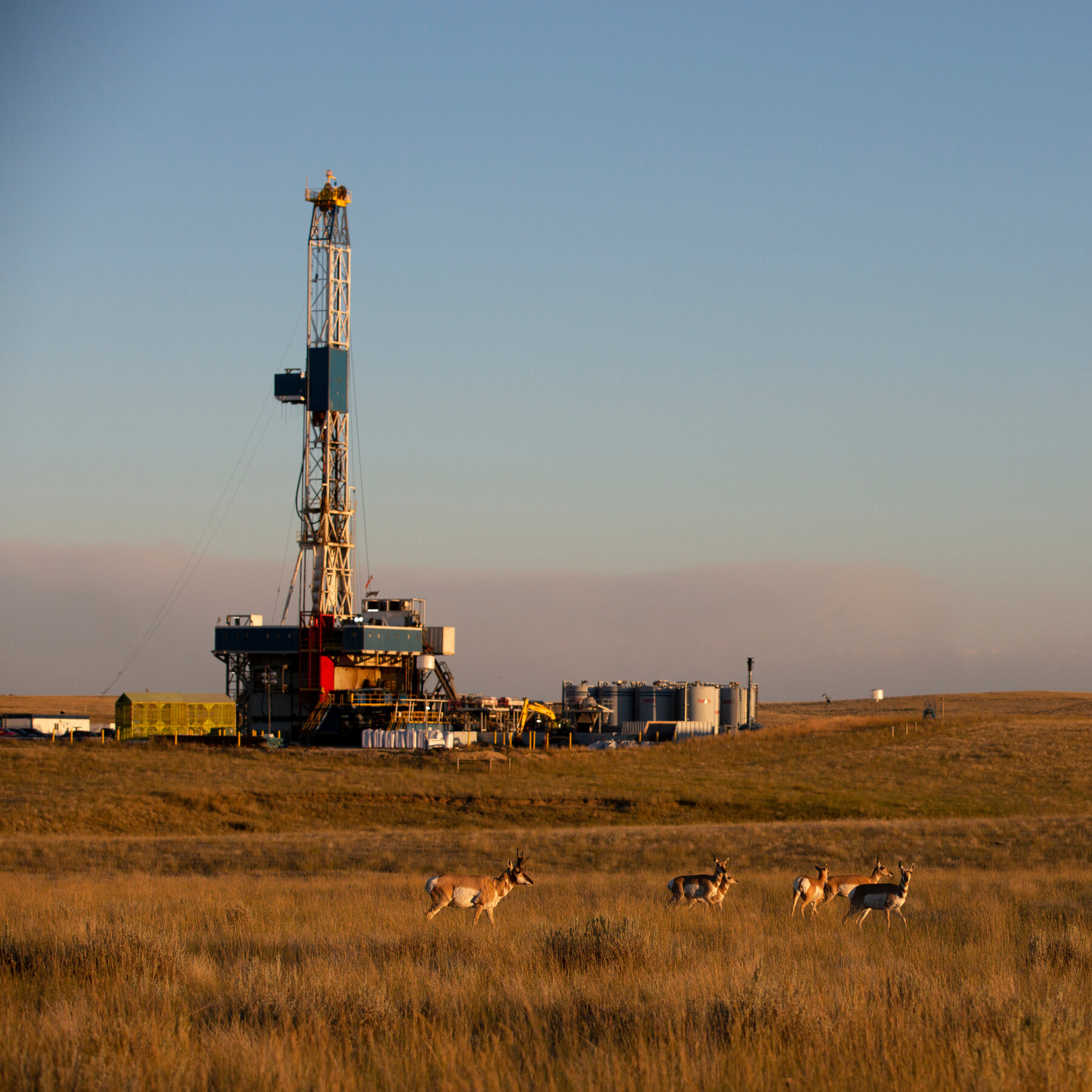 What Shutdown? Work on Fossil Fuel Permits Continues.