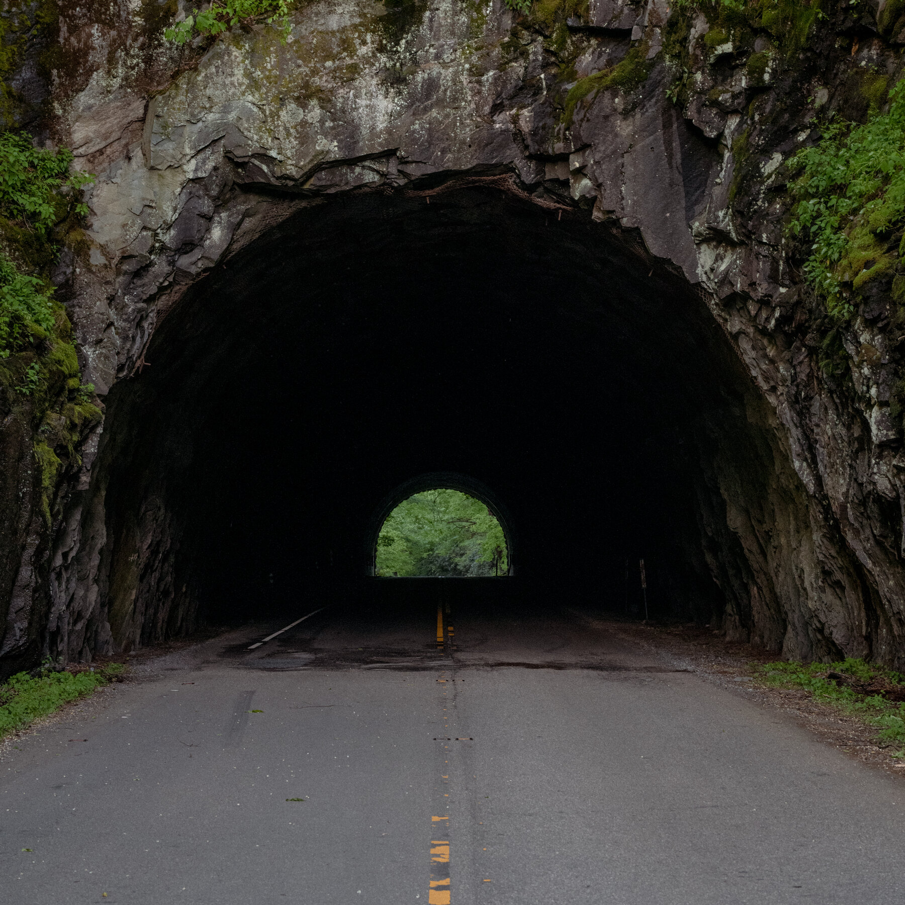 What to Know if You’re Visiting the Blue Ridge Parkway This Summer
