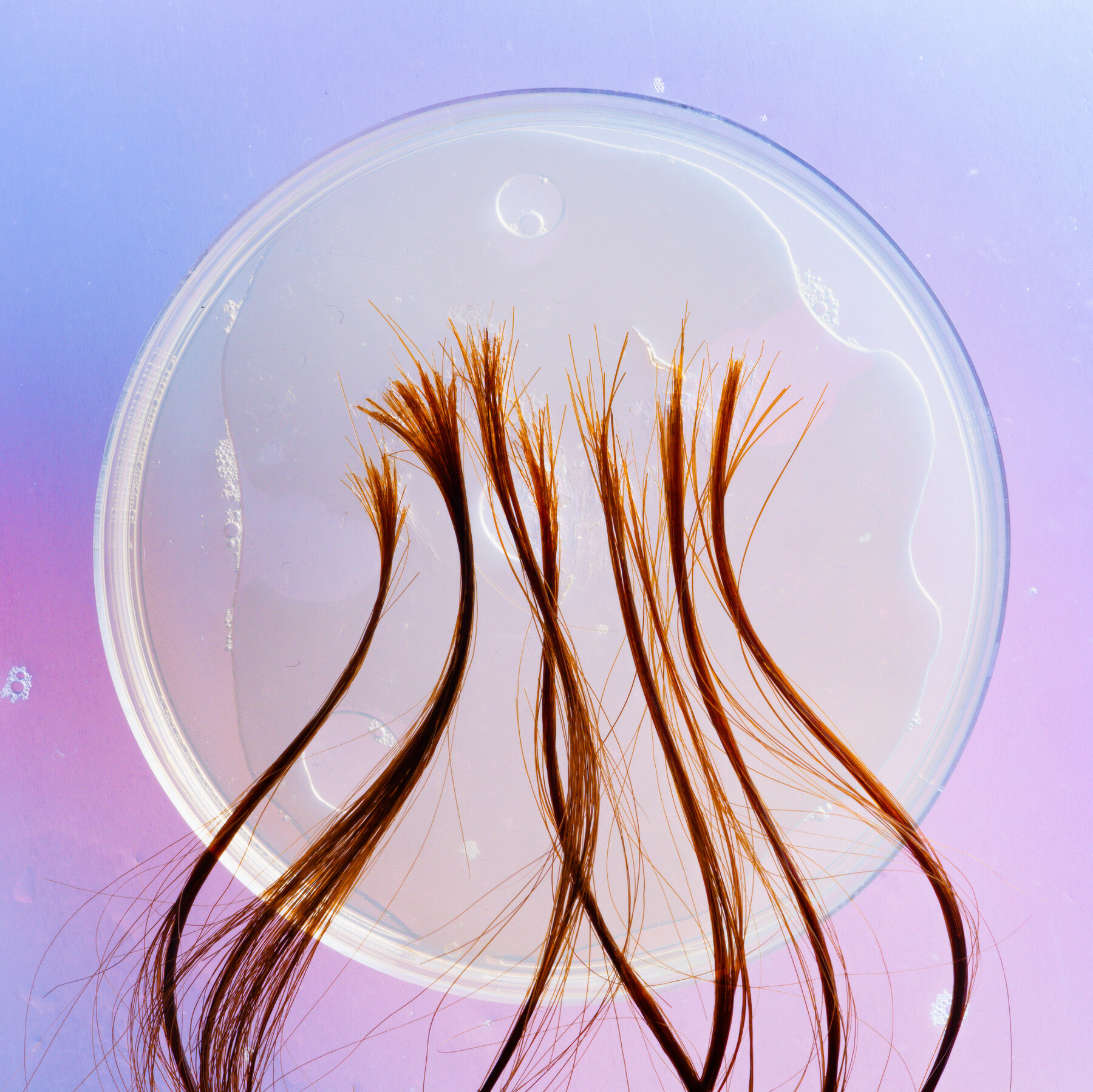 What Your Hair Can Tell You About Your Health