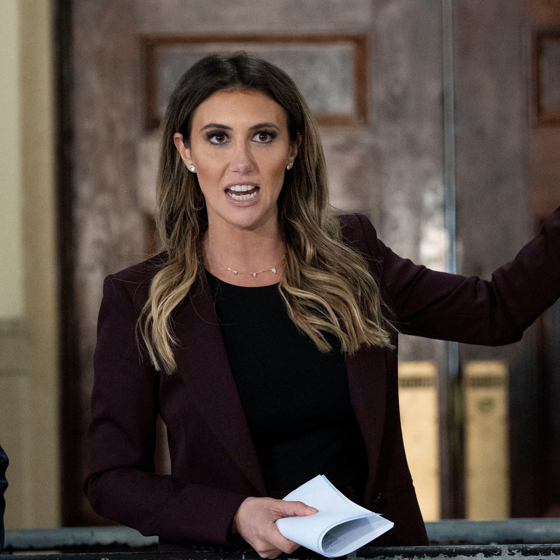 Who Is Alina Habba, the Lawyer Trump Picked to Serve as Counselor to the President?