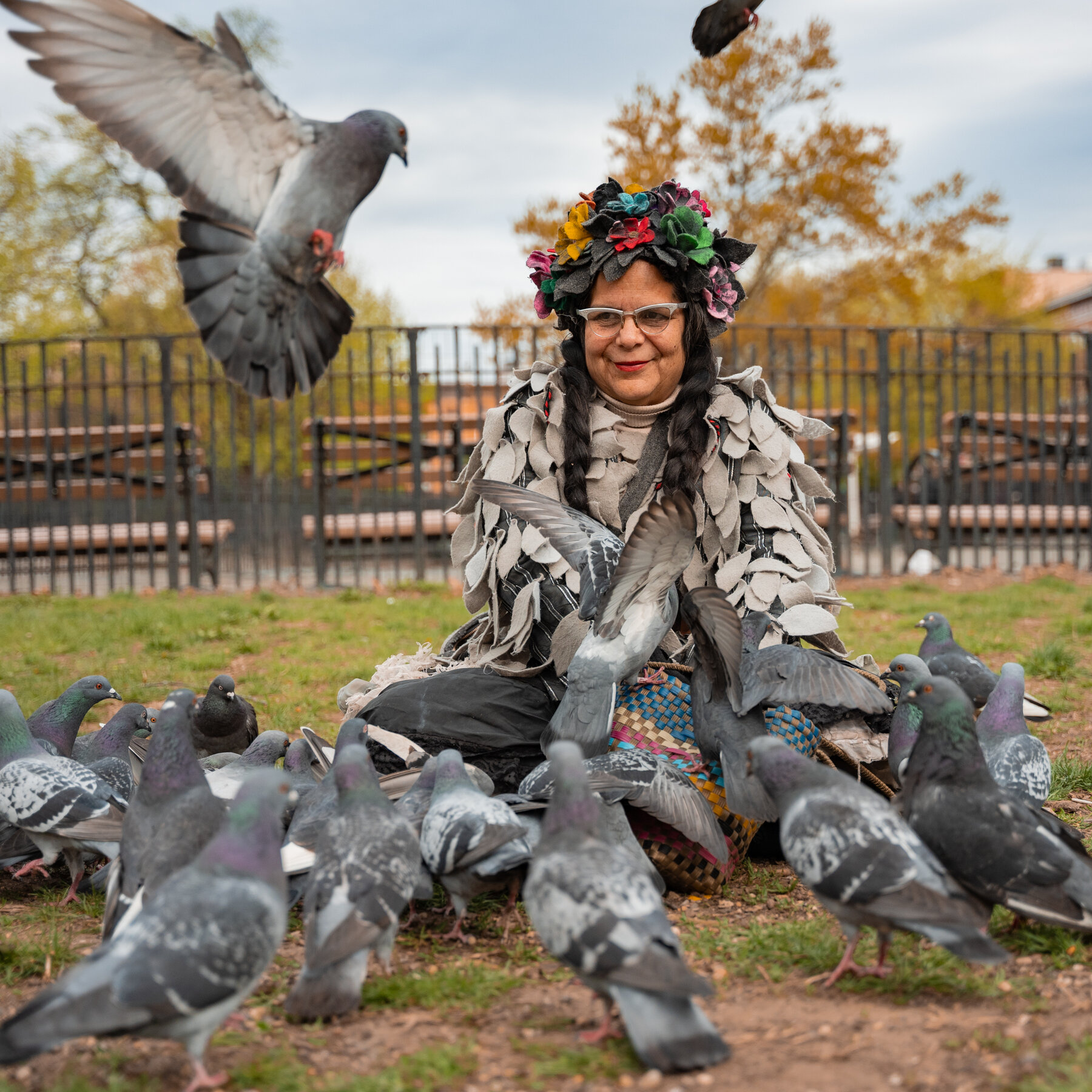 Who Would Steal New York City’s Pigeons? Mother Pigeon Thought She Knew.