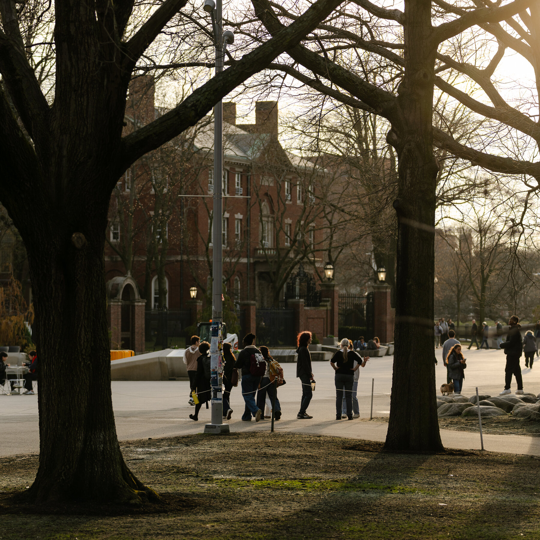 Why Harvard Decided to Fight Trump
