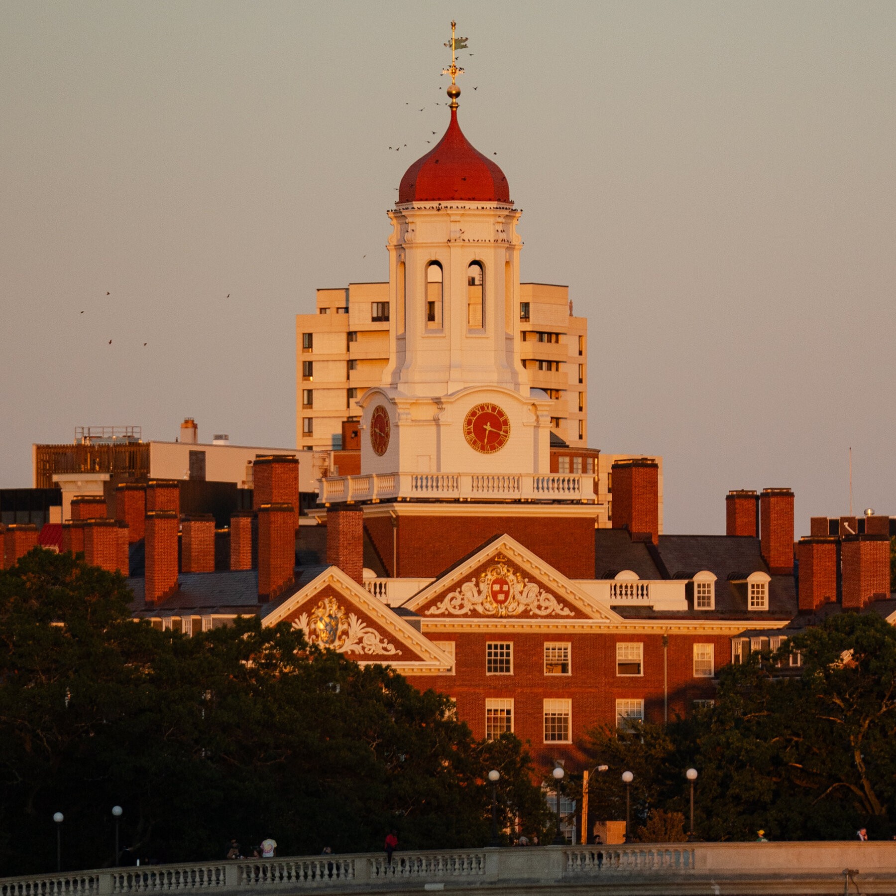 Why Harvard Has Not Reached a Deal with Trump