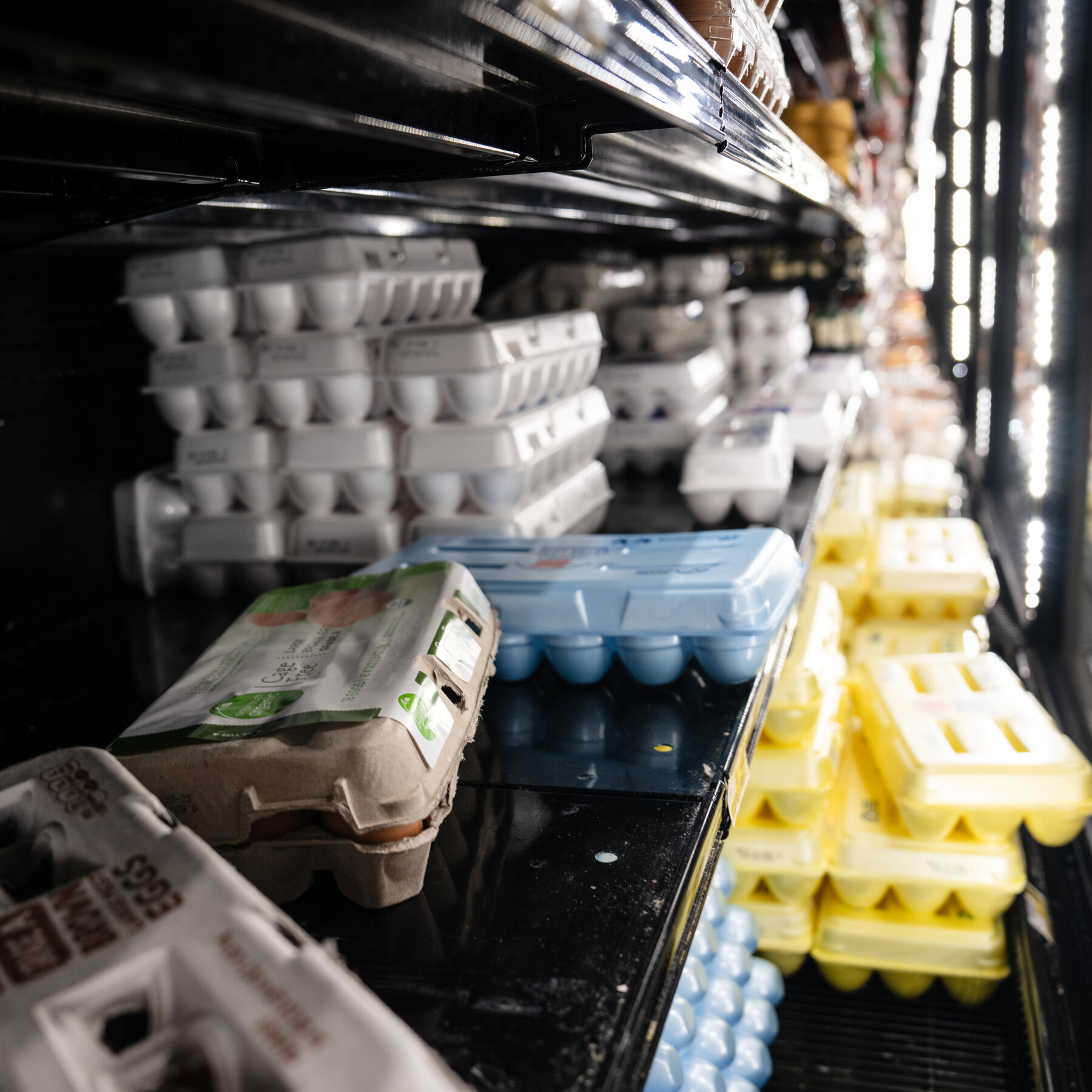 Why Is Egg Shopping So Unpredictable?