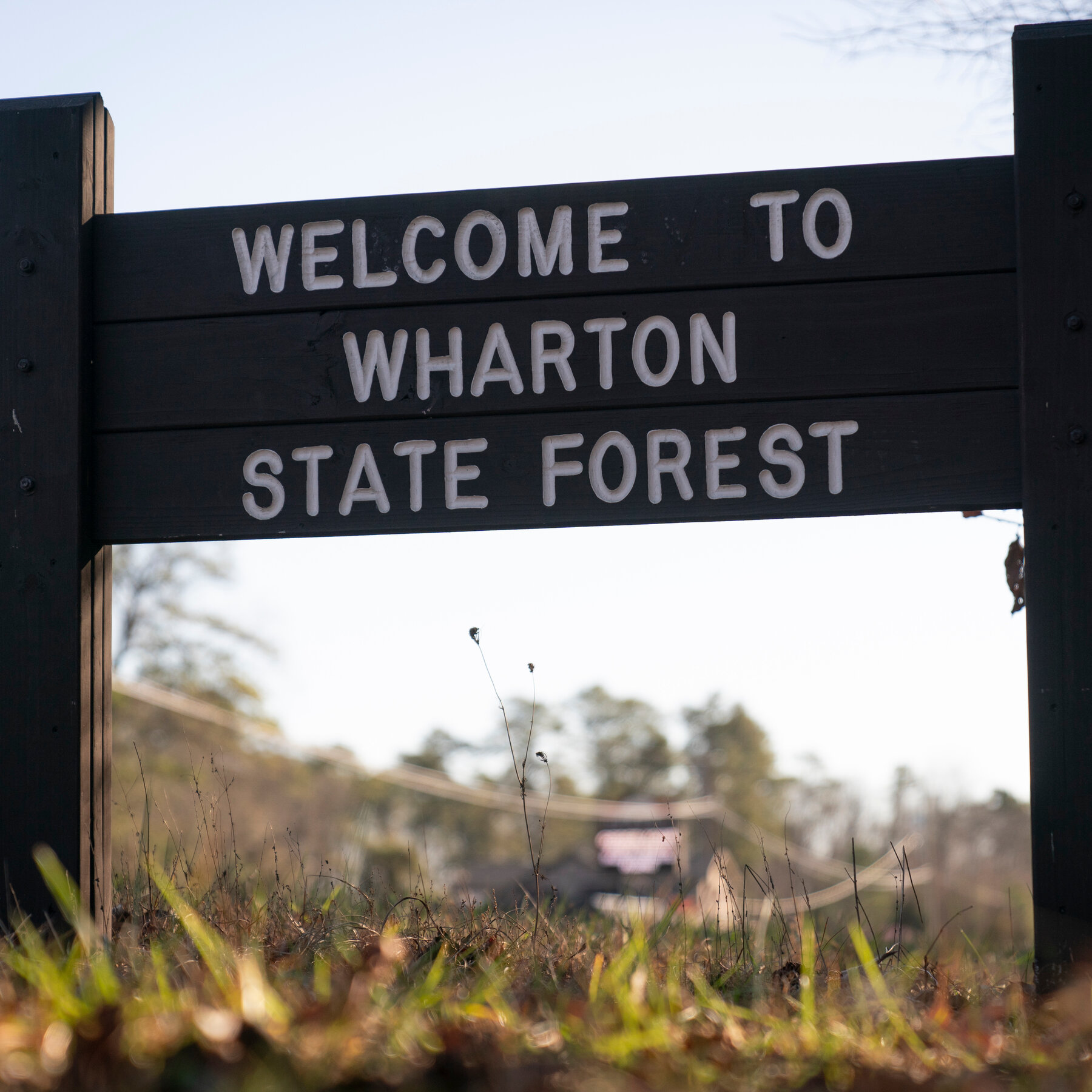 Wildfire Burns in New Jersey’s Wharton State Forest