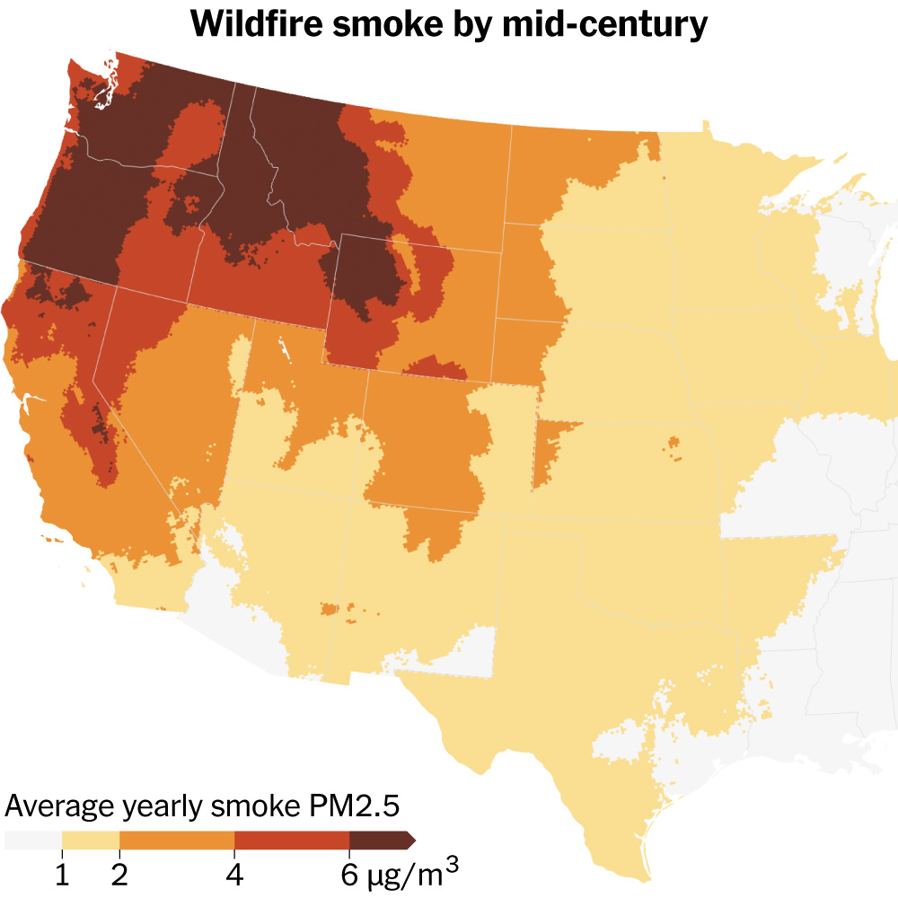 Wildfire Smoke Will Kill Thousands More by 2050, Study Finds
