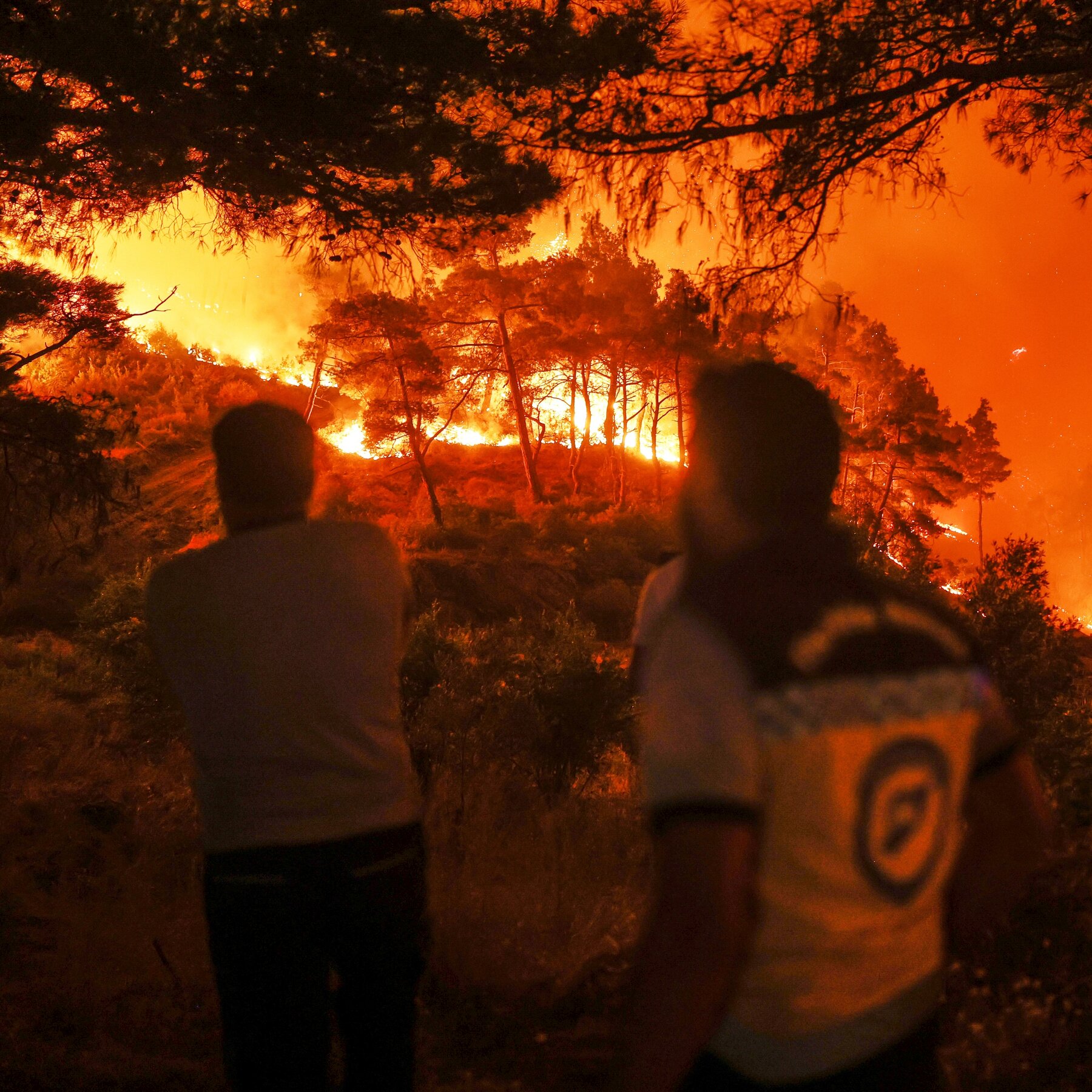 Wildfires Scar Syria Anew