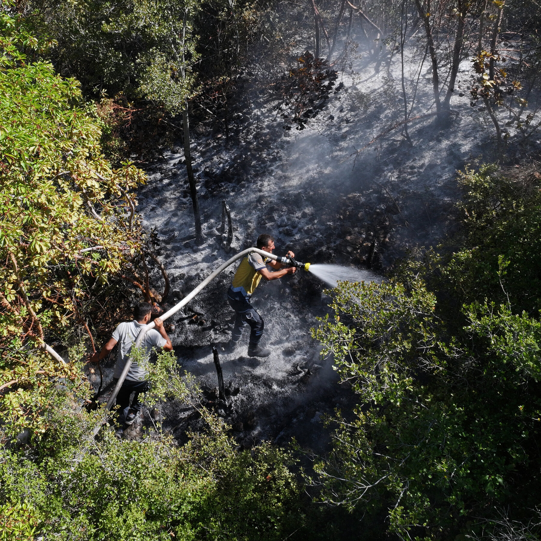Wildfires Sweep Syria’s Coast as Drought Strains Fragile State