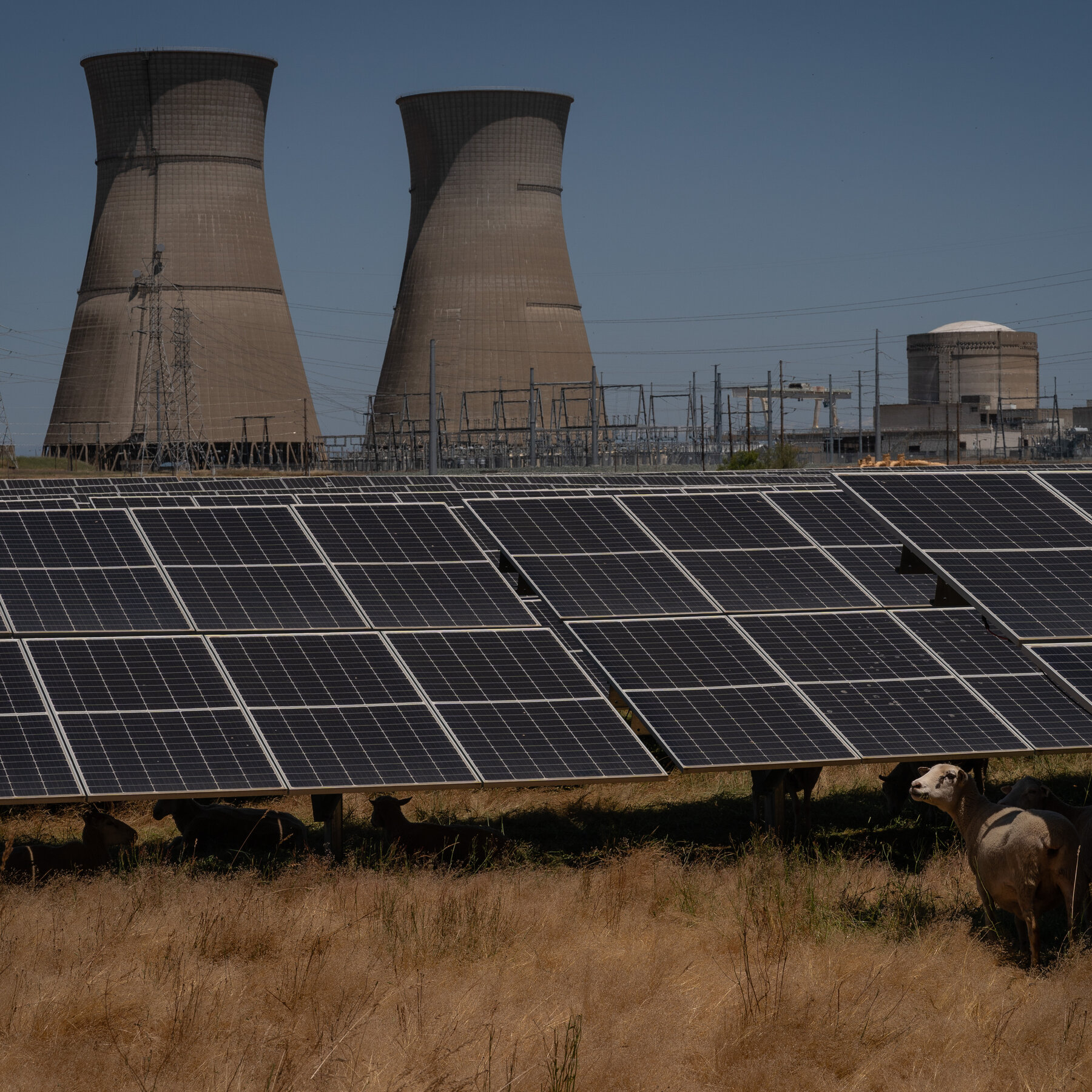 Wind and Solar Firms Have a Pitch for Trump: ‘You’re Going to Need Us’