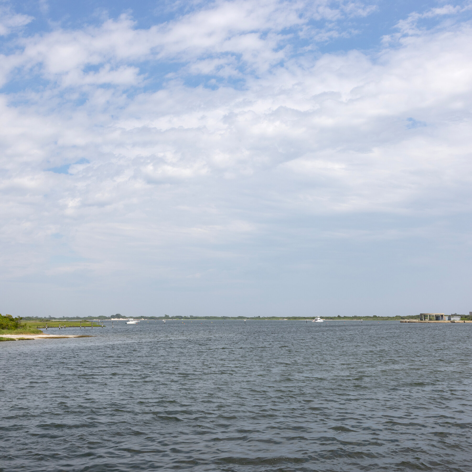 Woman Was ‘Most Likely’ Bitten by Shark at Jones Beach, Scientists Say