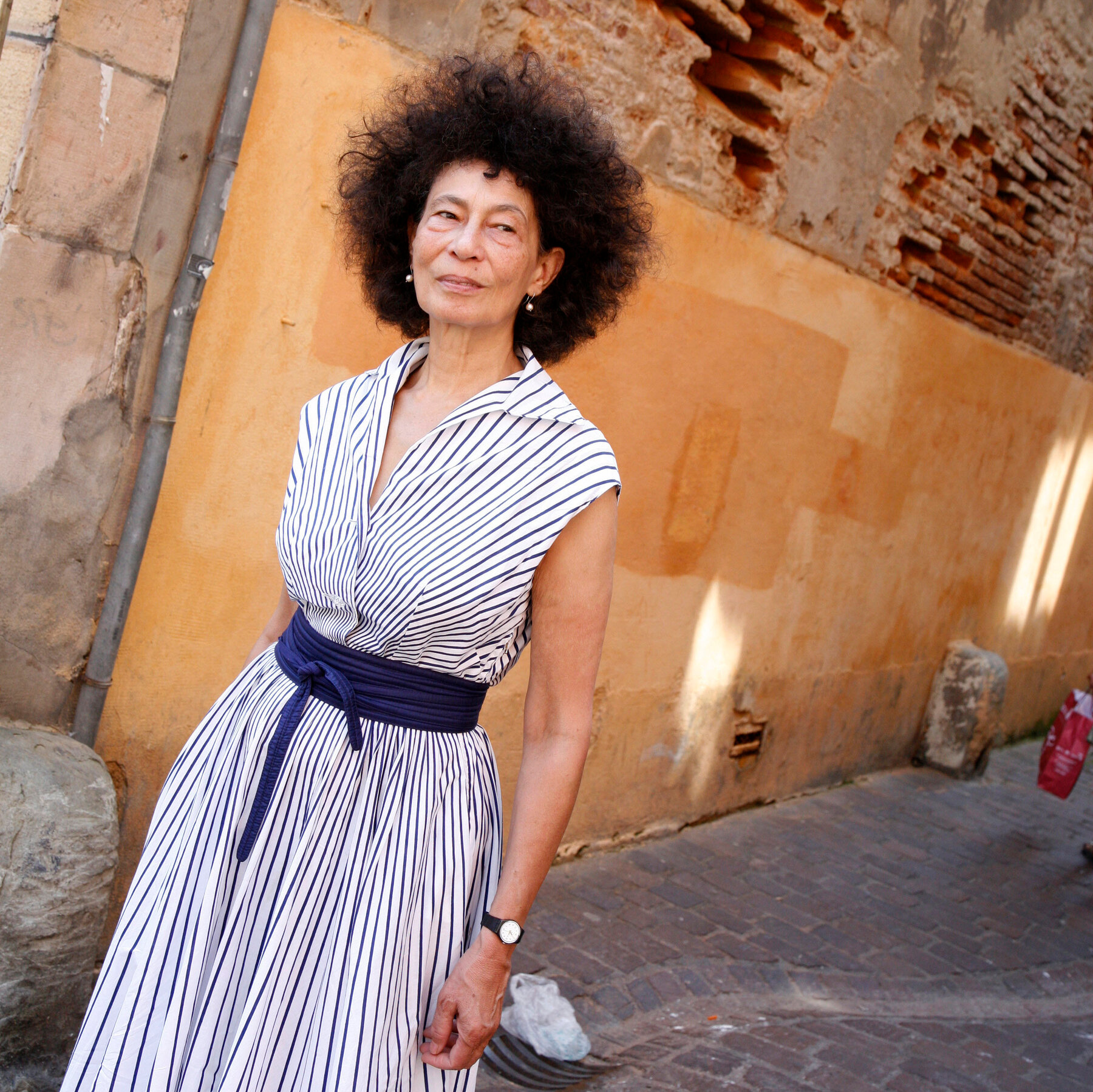 Zoë Wicomb, Acclaimed South African Author, Dies at 76